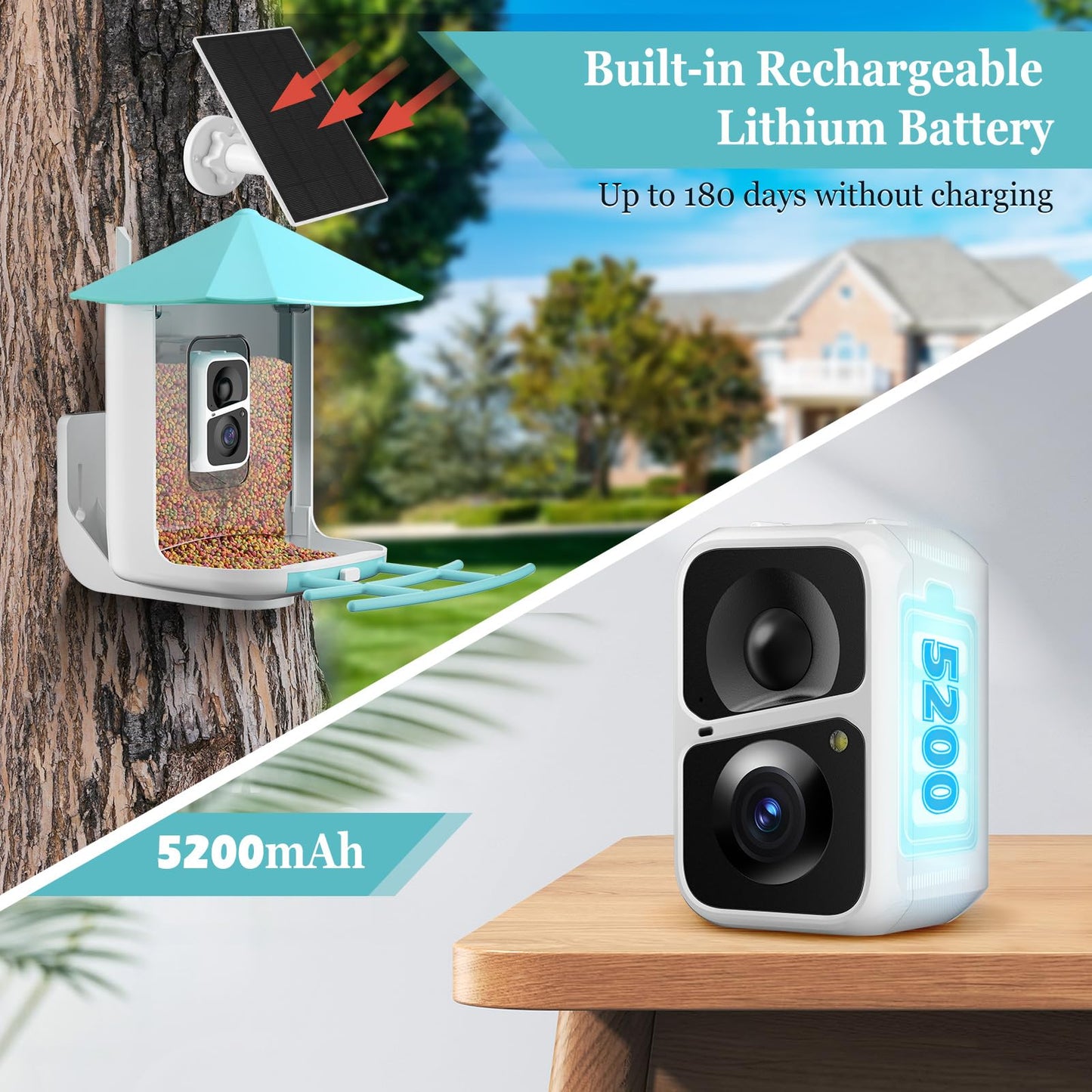 oCuZen Smart Bird Feeder Camera, Outdoor Bird Watching Camera, Auto Capture Bird & Motion Detection, Gift for Bird Lover, Blue