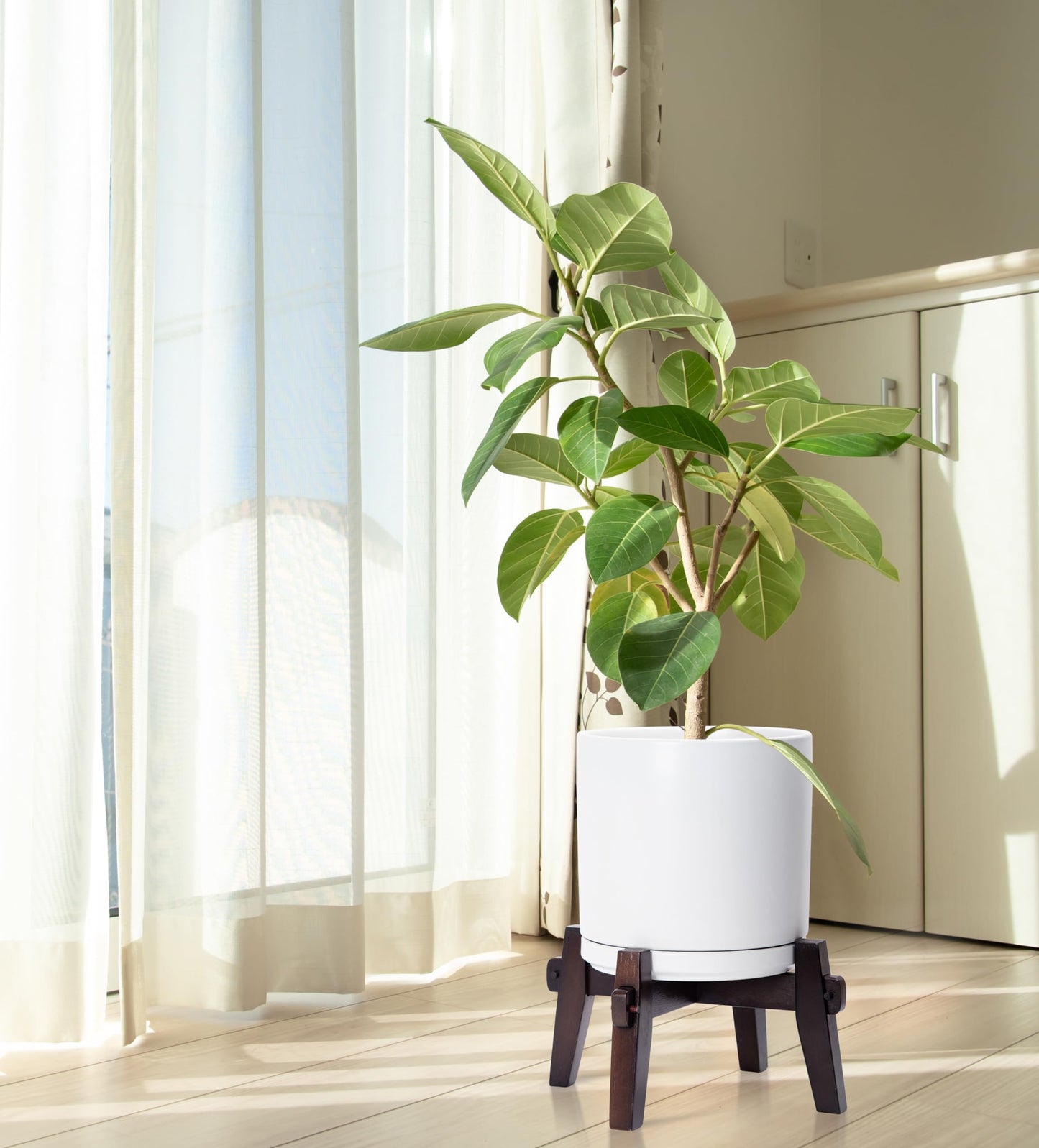 D'vine Dev Ceramic Planter with Wood Stand - 10 Inch Mid Century Modern Cylinder Indoor Plant Pot Set for Indoor Plants & Flowers, White, 55-A-X-1
