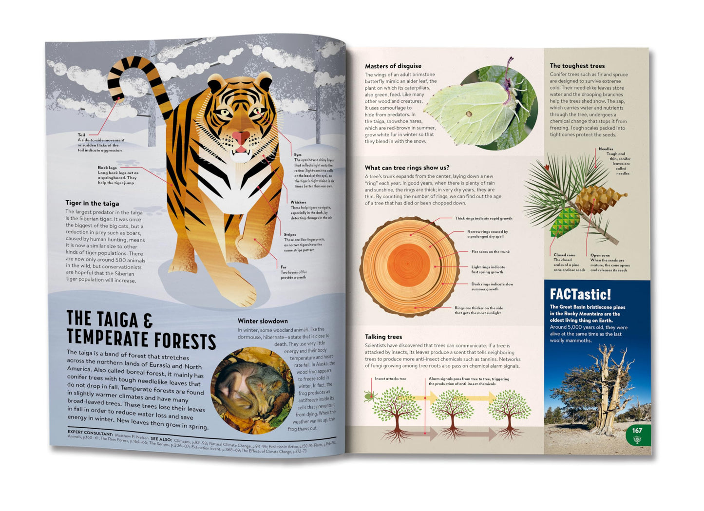 Britannica All New Kids' Encyclopedia: Updated Edition - What We Know & What We Don't