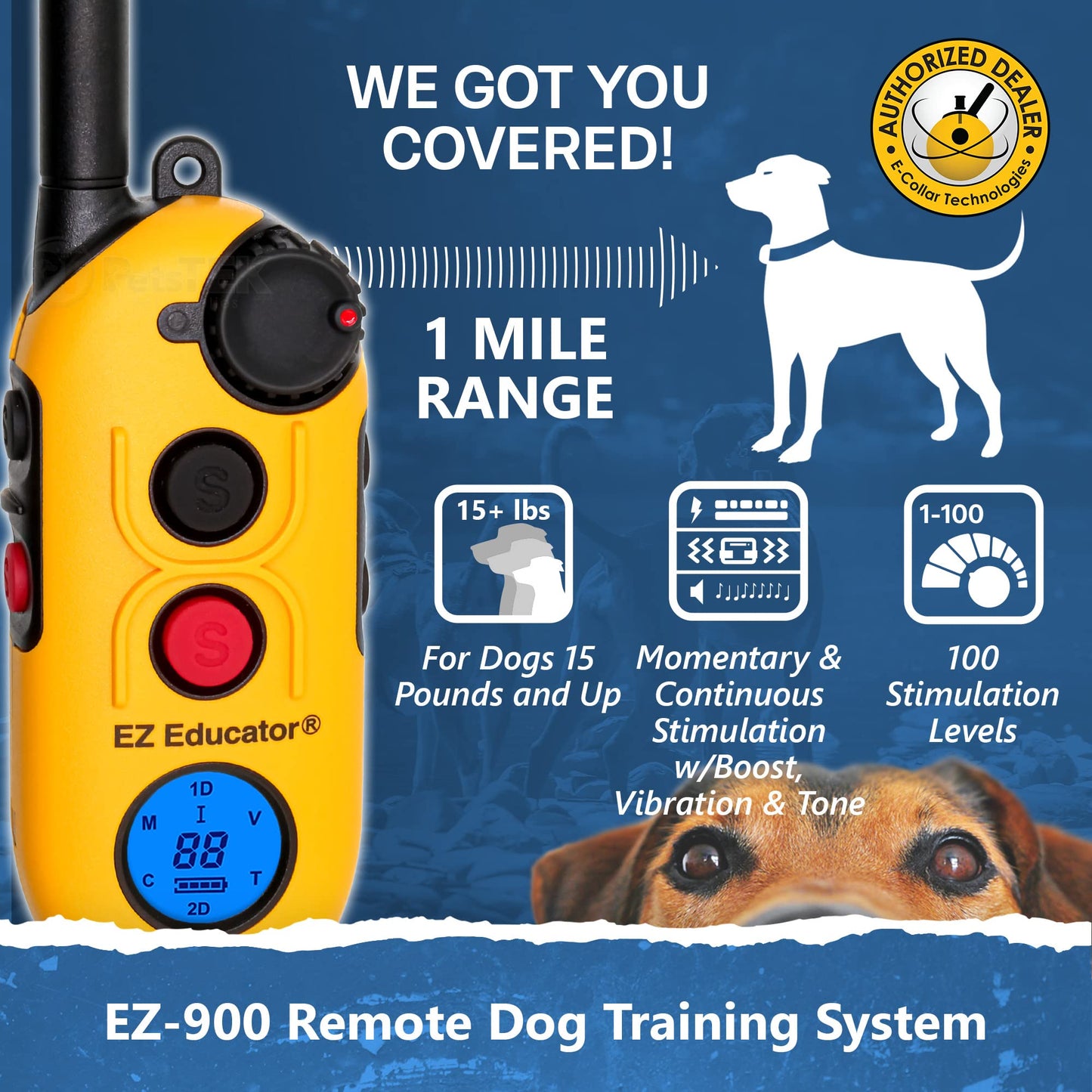 Educator EZ-900 E Collar for Dog Training with Remote - 1/2 Mile Range, Waterproof, 256 Blunt Stimulation Levels, Tone or Vibration Mode, Night Tracking Light for Small, Medium & Large Dogs