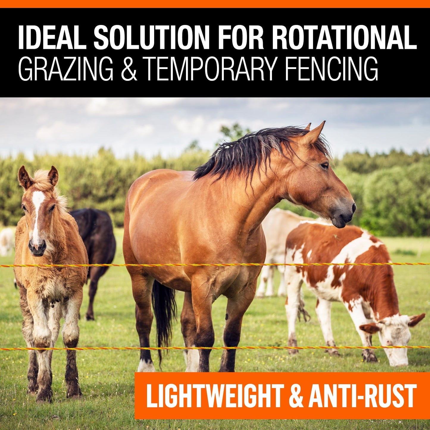 Pet & Livestock HQ - 3280ft Electric Polywire Fence with 100 Insulators - 2 Product Bundle