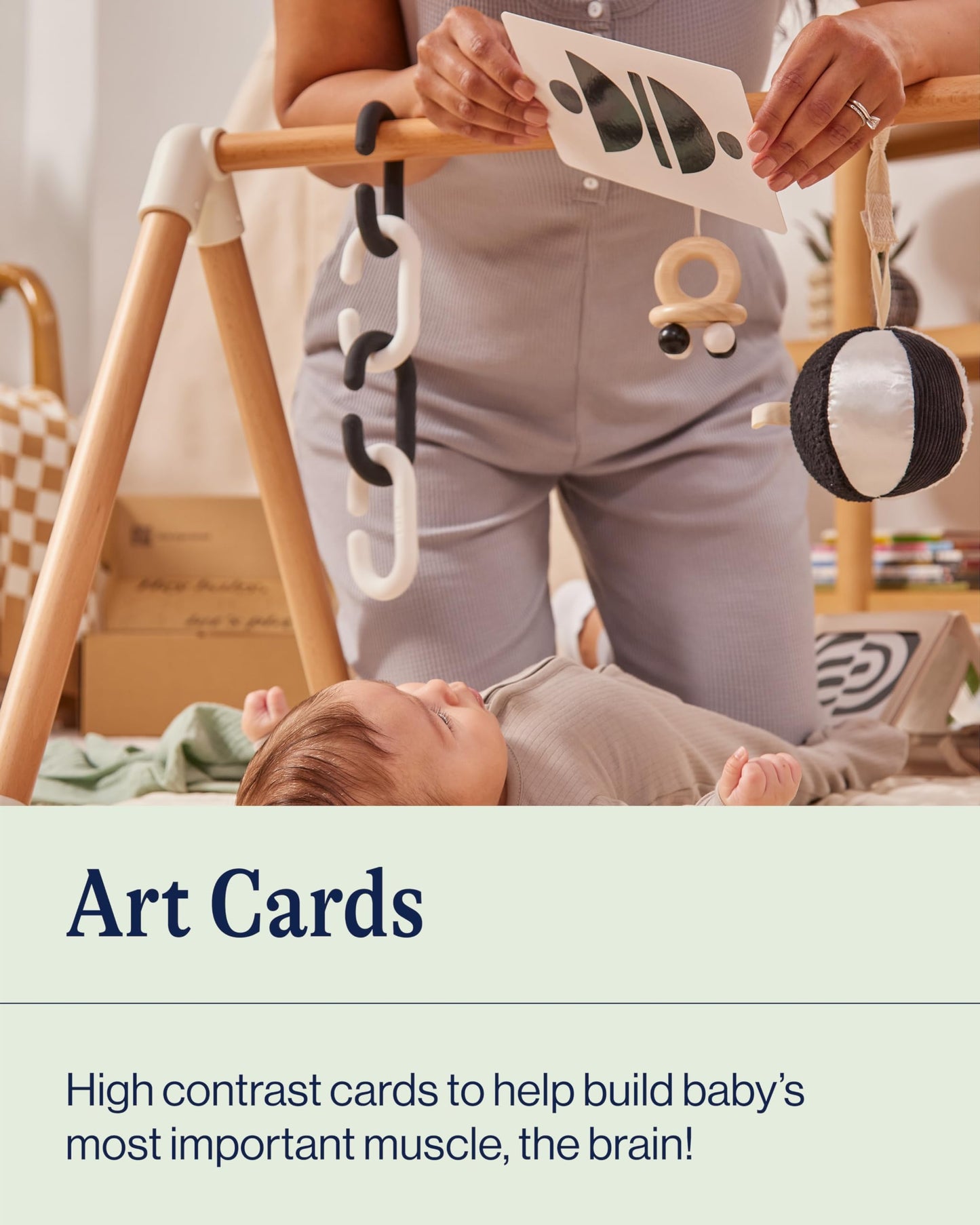 Lalo Art Cards - Set of 6 High Contrast Baby Cards for Infants - Printed with Soy-Based Ink, Lead & Phthalate-Free - Newborn Brain Development Toys - Safari Animals