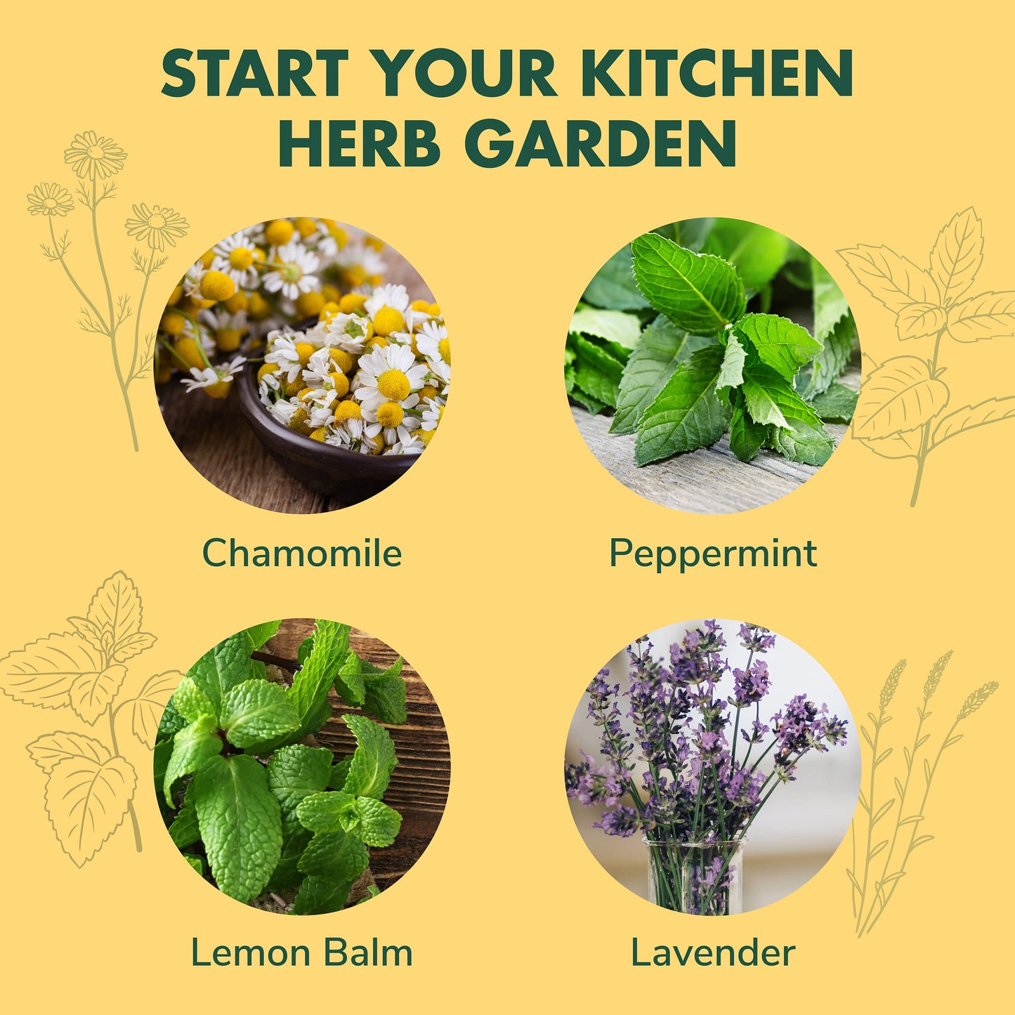 Indoor Herb Garden Seed Starter Kit - Herbal Tea Growing Kits, Grow Medicinal Herbs Indoors, Seeds for Planting, Soil, Plant Markers, Pots, Infuser, Planter Box, Gardening Gifts for Women