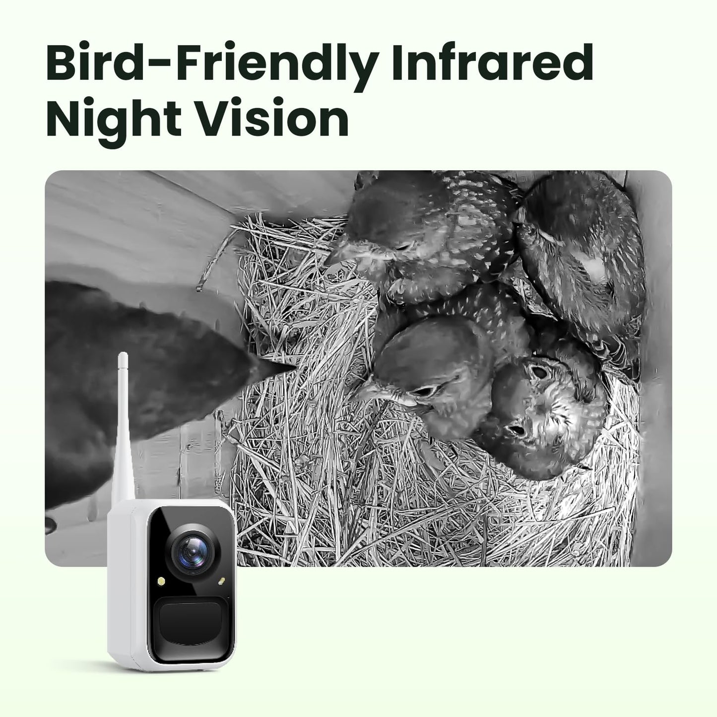 Birdfy Smart Bird House with Camera Solar Powered, 1080HD Live Video & Night Vision for 24/7 Nesting Recording, Auto Detect & Notify, Ideal Nature Gift for Bird Lovers, AI Identify Lifetime Free