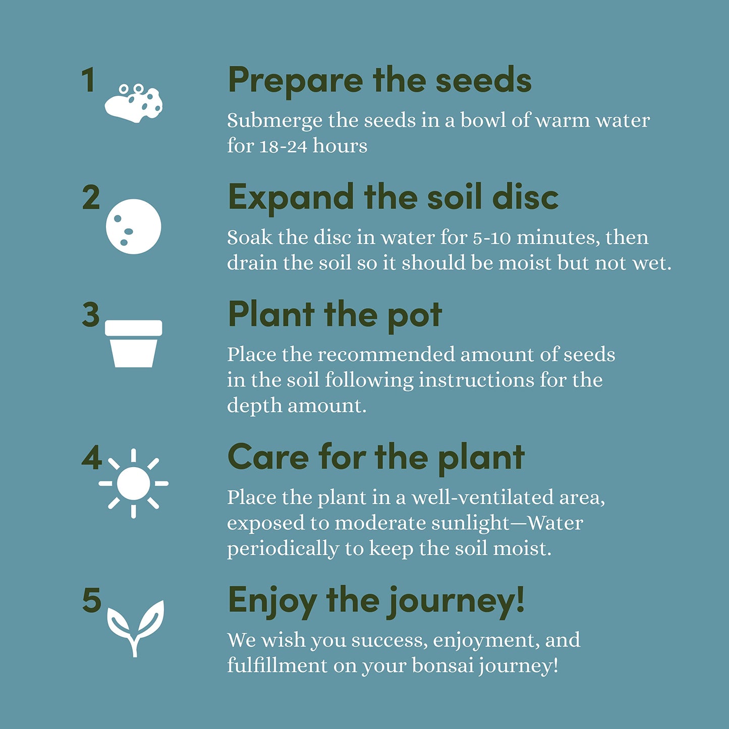 Bonsai Starter Kit - Gardening Mothers Day Gifts for Women & Men - Bonsai Tree Growing Garden Crafts Hobby Kits for Adults, Unique DIY Hobbies for Plant Lovers - Unusual Gifts Ideas Mom, Her, Friend