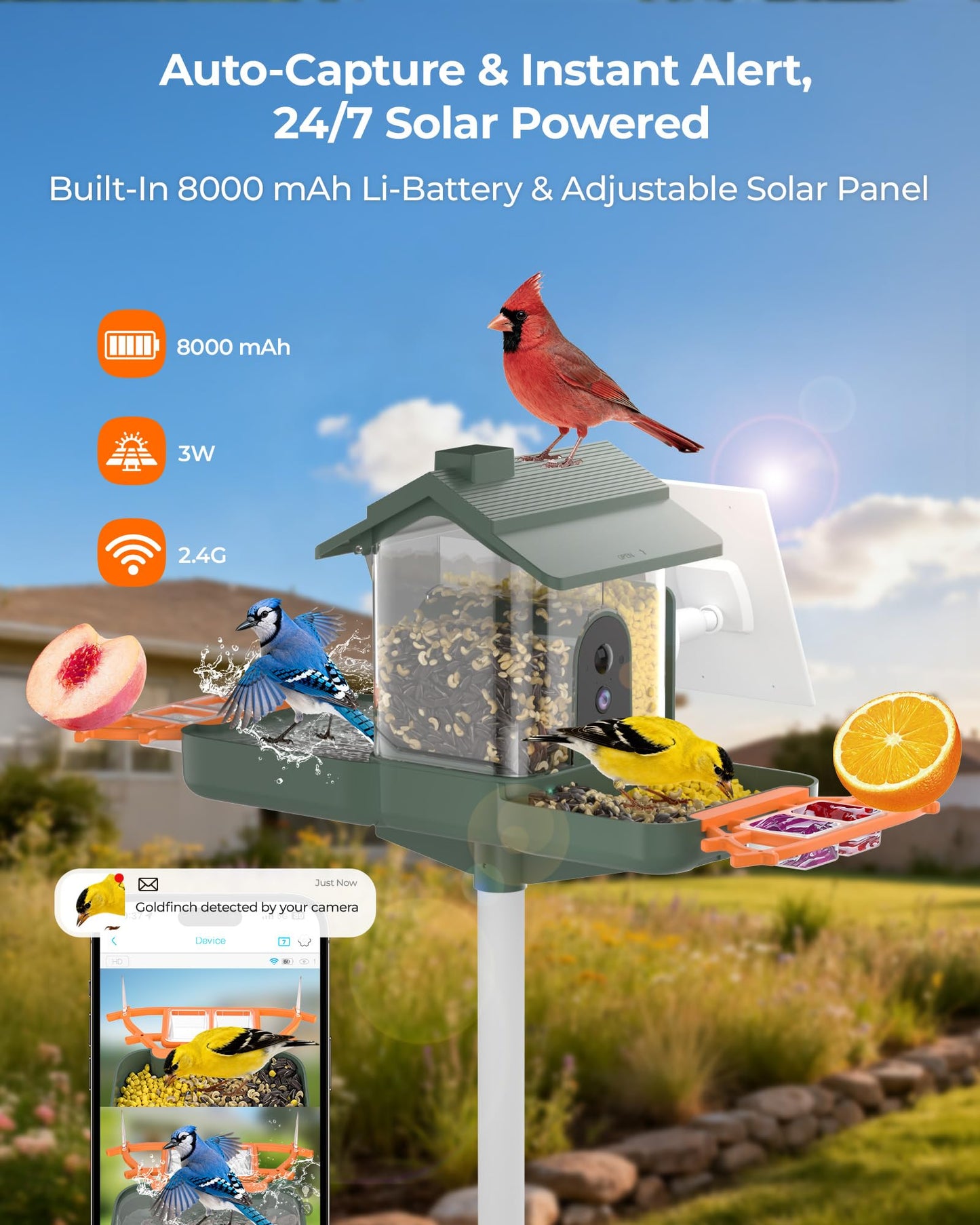 2-in-1 Bird Bath and Bird Feeder with Cameras Solar Powered 2K Dual Cameras Birds Feeder and Bath for Outside Yard Garden, Gift for Dad Mom Kids (Dark Green + Orange)