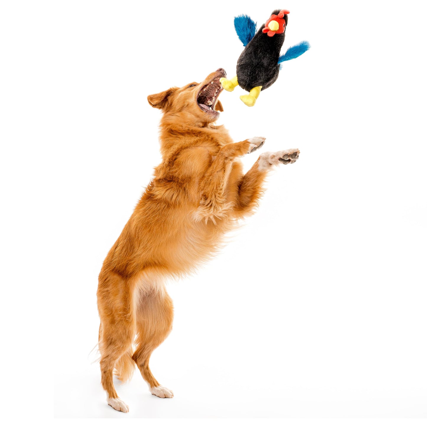 Playology Dog Toys | Plush Toy Hen Stuffed Animal for Dogs | Medium Chicken Scented Toy - Easy to Clean and Made from Non Toxic Materials