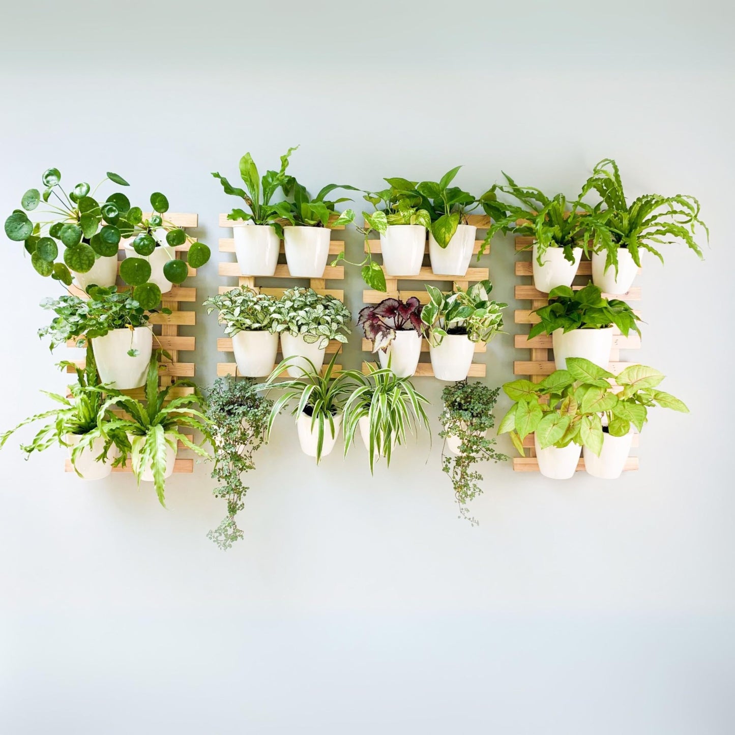ShopLaLa Wooden Wall Planter - 2 Pack Wall Hanging Planters for Indoor Plants Ladder Wall Mount Natural Wood Holder Flower Pots Vertical Living Balcony Unique Large Green Plant Decor 23.6" (60cm)