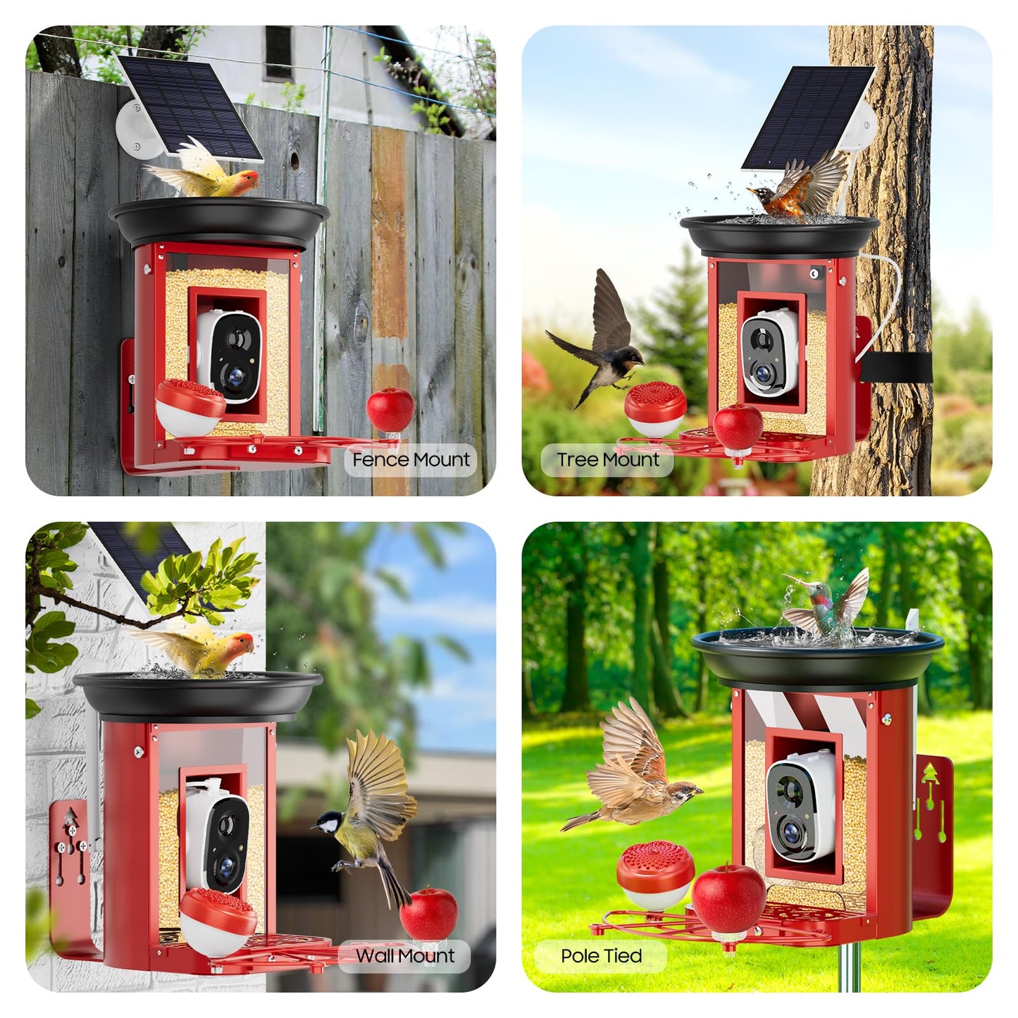 Camii Smart Bird Feeder with 2K HD Camera - Auto Capture & Motion Detection, Solar-Powered, Identifies Bird Species, Live Video with Bath