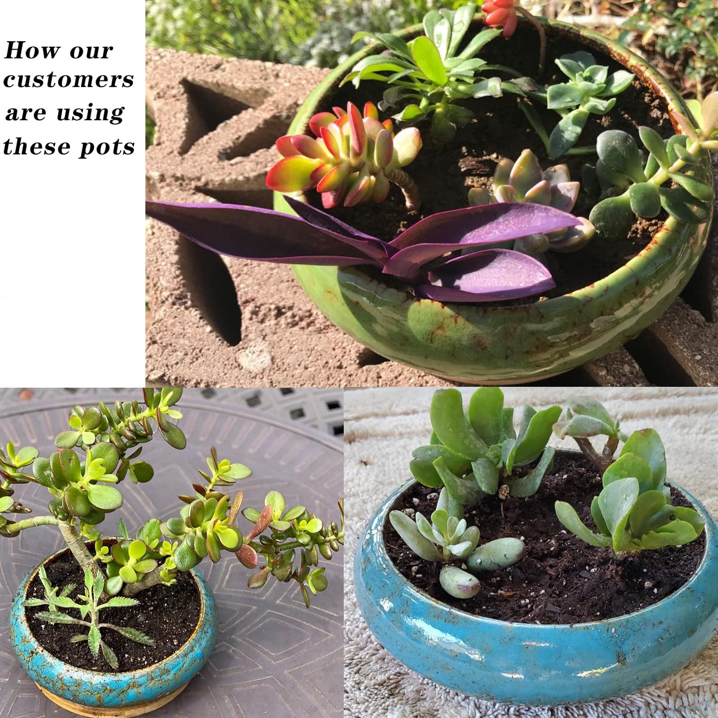 ARTKETTY Succulent Pots - 7.3 Inch Pack of 4, Shallow Bonsai Pots with Drainage, Tray & Bamboo Saucers, Ceramic Indoor Plant Pots for Succulent, Cactus, Flower, Herb