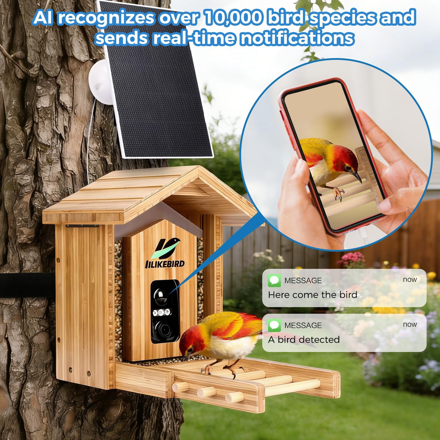 Bamboo Smart Bird Feeder with 4K Camera, AI Bird Identification 10000+ Species, Solar Powered & USB-C Charging, IP65 Weatherproof, 1.25L Speed Capacity for Outdoor Garden (Wall Mount/Pole) (Large)