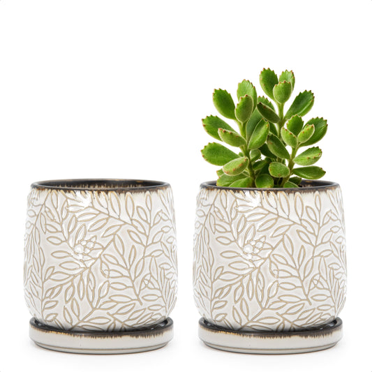 D'vine Dev 4 Inch Embossed Leaves Stoneware Planter Pot with Drainage Hole and Saucer, Smoked White, Set of 2, 27-F-Z-1