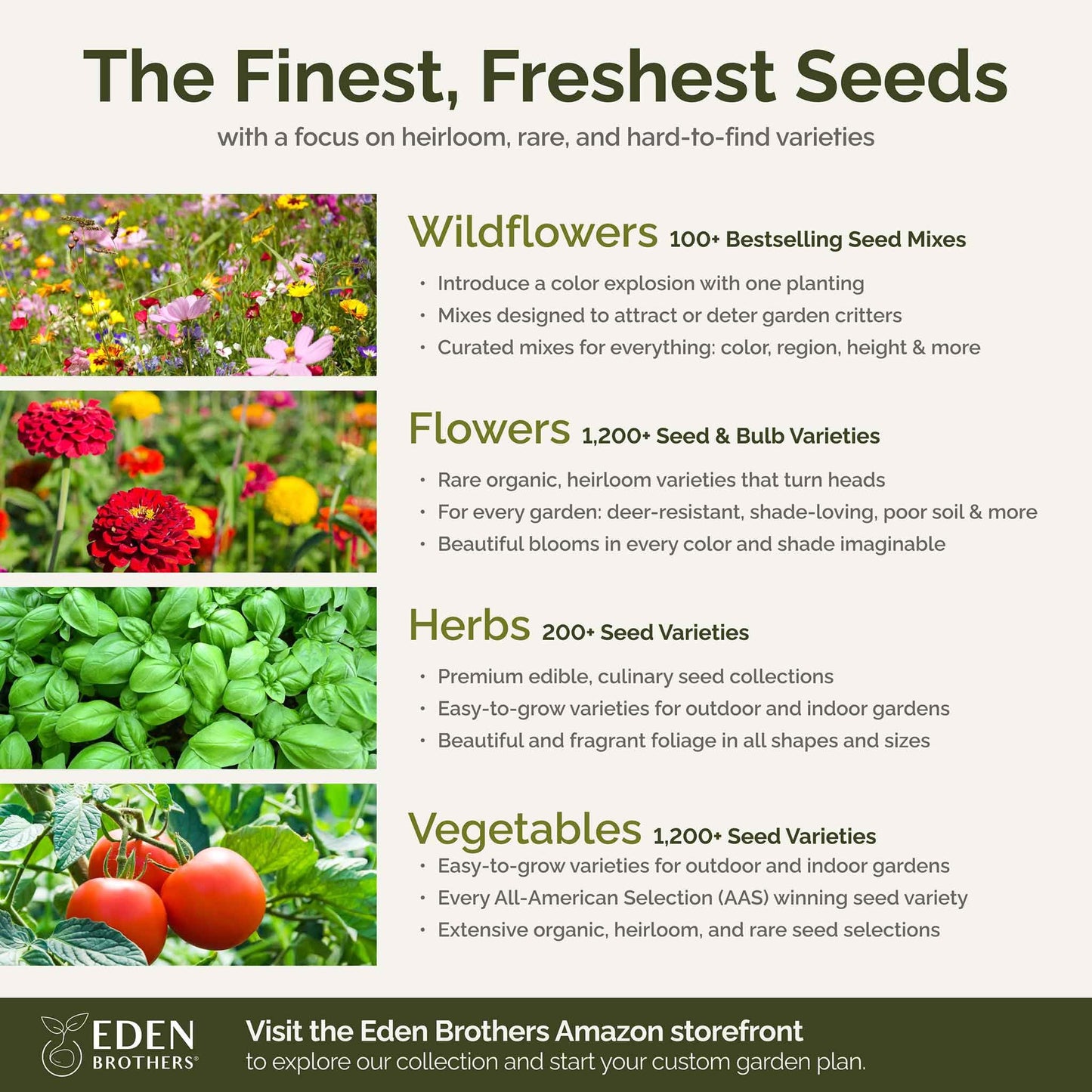 Eden Brothers Northeast Wildflower Mixed Seeds for Planting, 1 lb, 480,000+ Seeds with Cosmos, Candytuft, Shasta Daisy | Attracts Pollinators, Plant in Spring or Fall, Zones 3, 4, 5, 6, 7, 8, 9, 10
