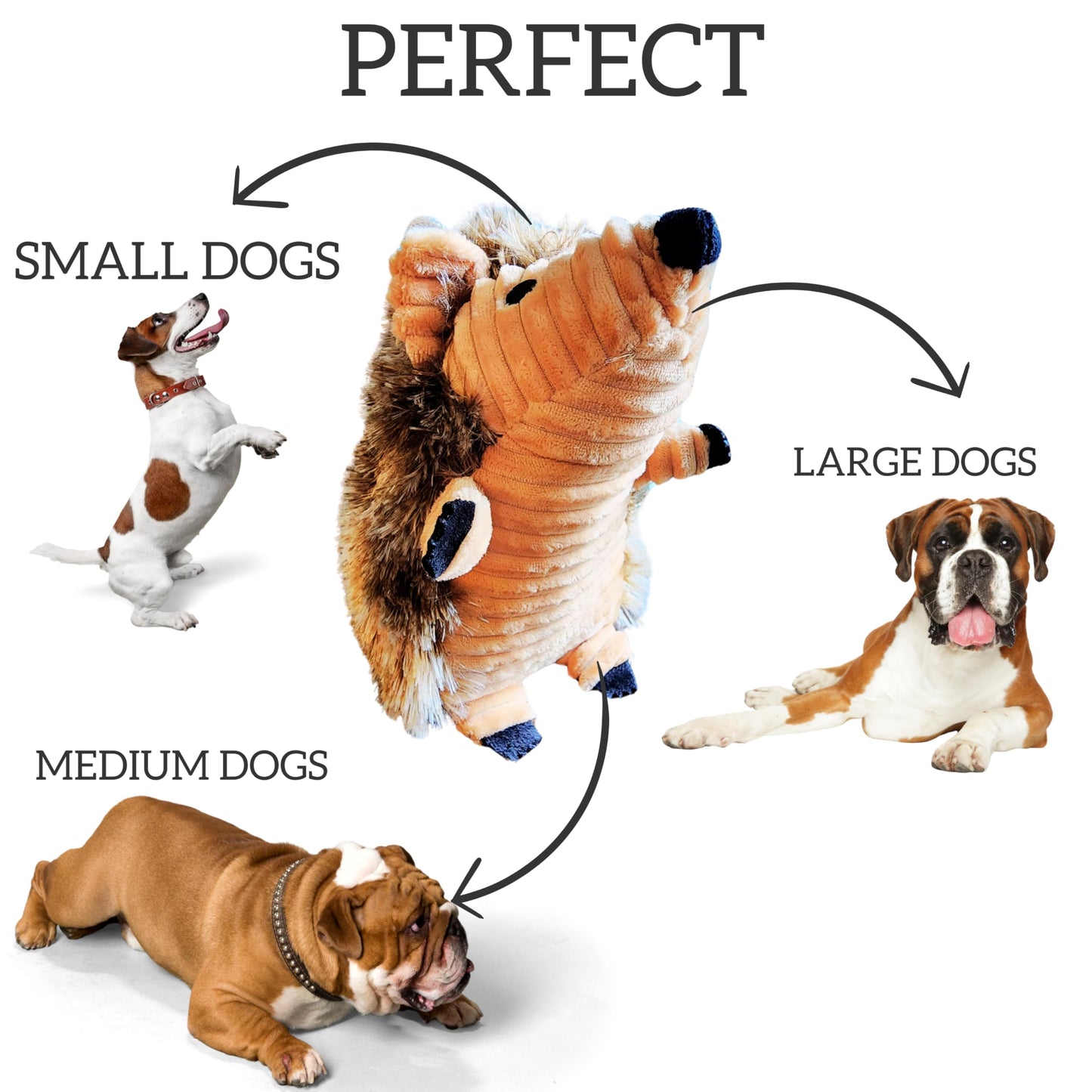 Hedgehog Dog Toy Plush | Squeaky Plush Toy for Small | Medium & Large Dogs | Animal Pet Plush Toy Teething and Aggressive Chewers | Small and Large Dog