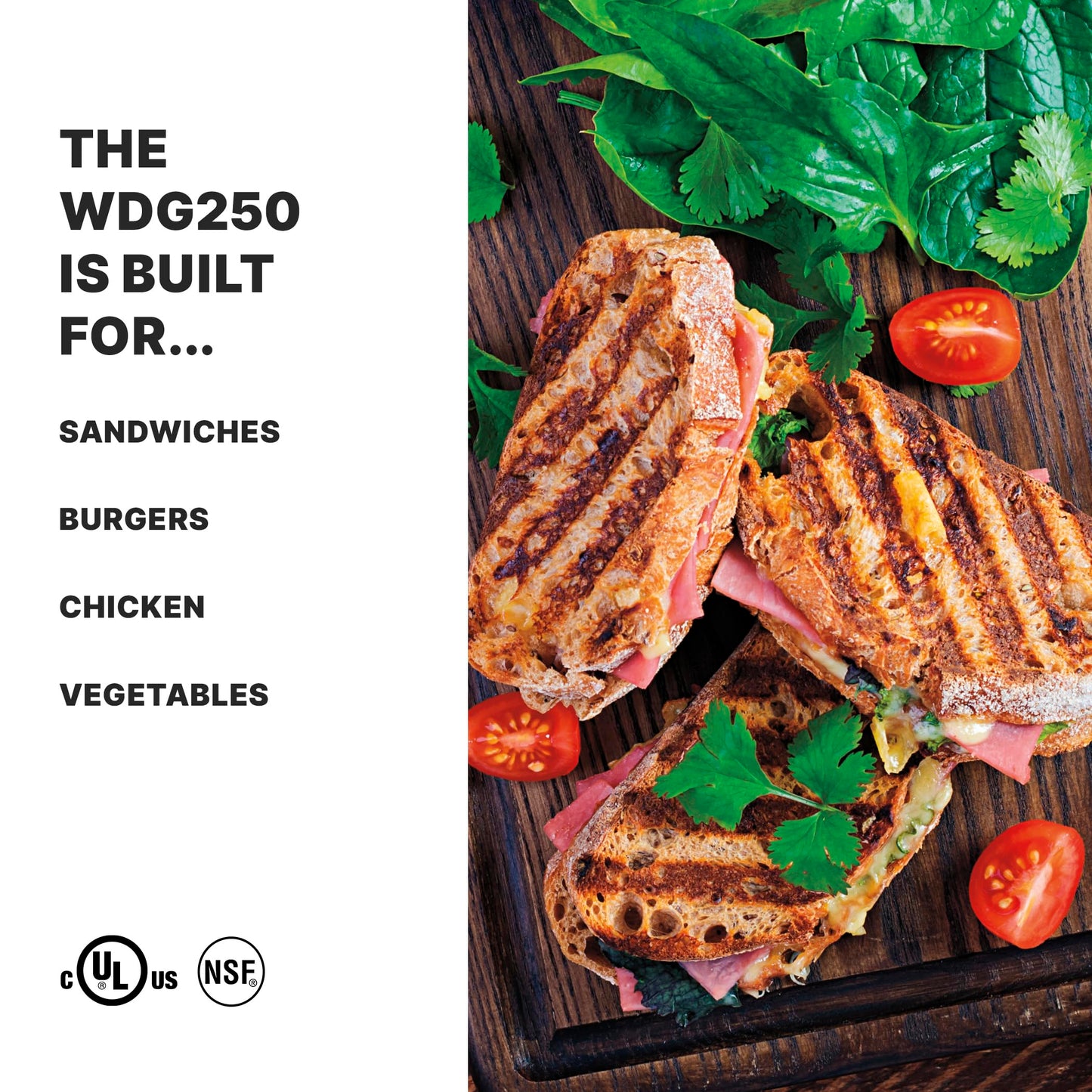 Waring Commercial WDG250 Tostato Supremo Ribbed Top Plate and Flat Bottom Plate Large Surface Panini Grill, 120 V, 1800W, 5-15 Phase Plug