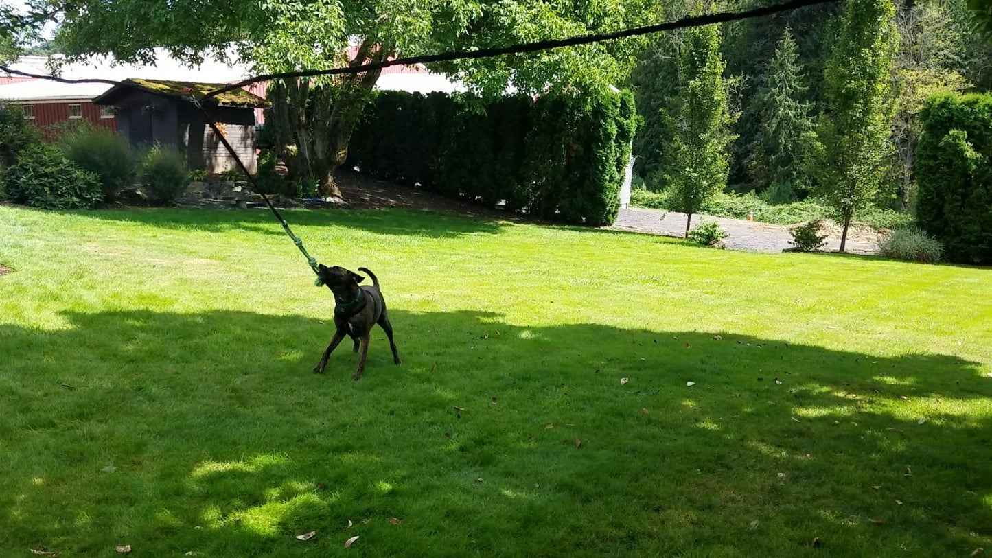 Tumbo Solo Slinger Outdoor Tough Hanging 50 ft Zipline Dog Toy (Uses Bungee Force to Sling The Rope Toy Back and Forth to The Center) Adjustable Length
