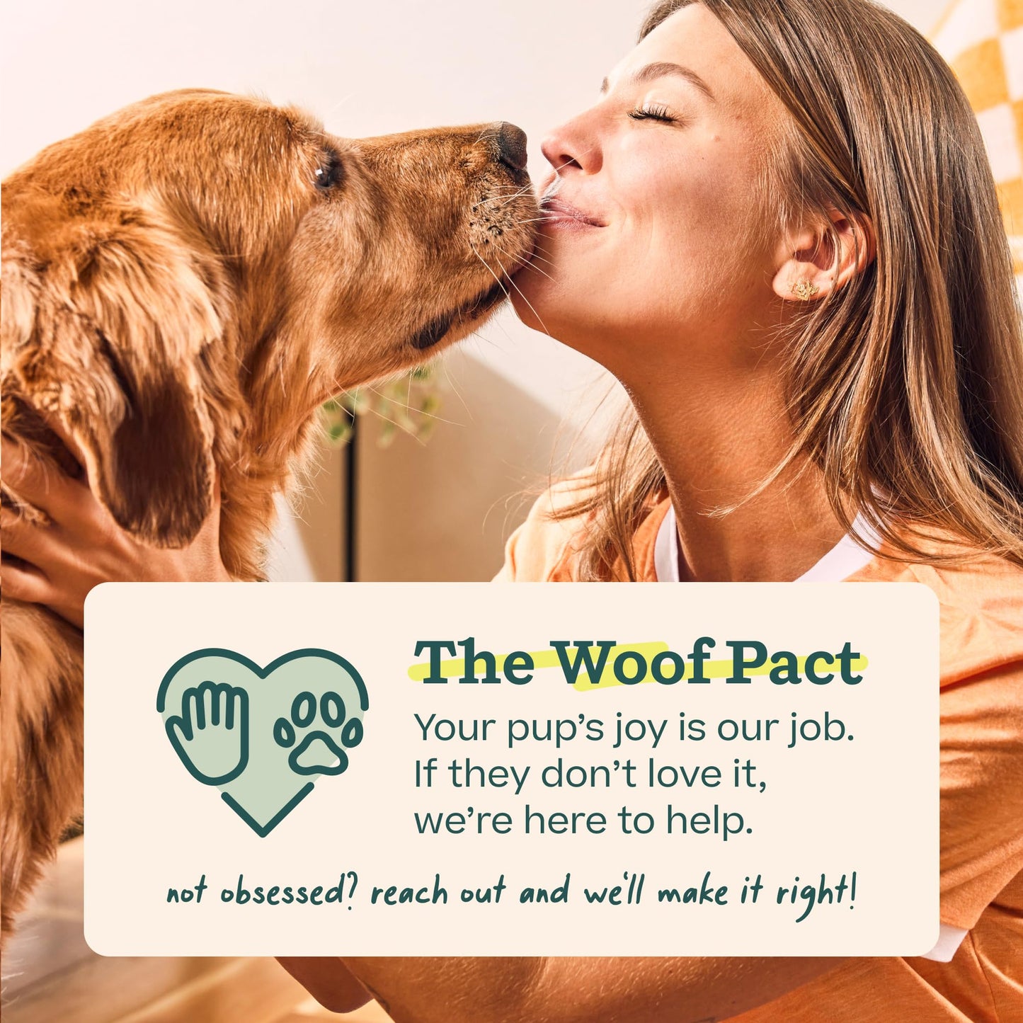 WOOF Bully Sticks Dog Treats - Chew Sticks for Dogs - Long-Lasting Dog Chew Treats - Made with Free-Range, Grass-Fed Beef - 6" Sticks - 10pk