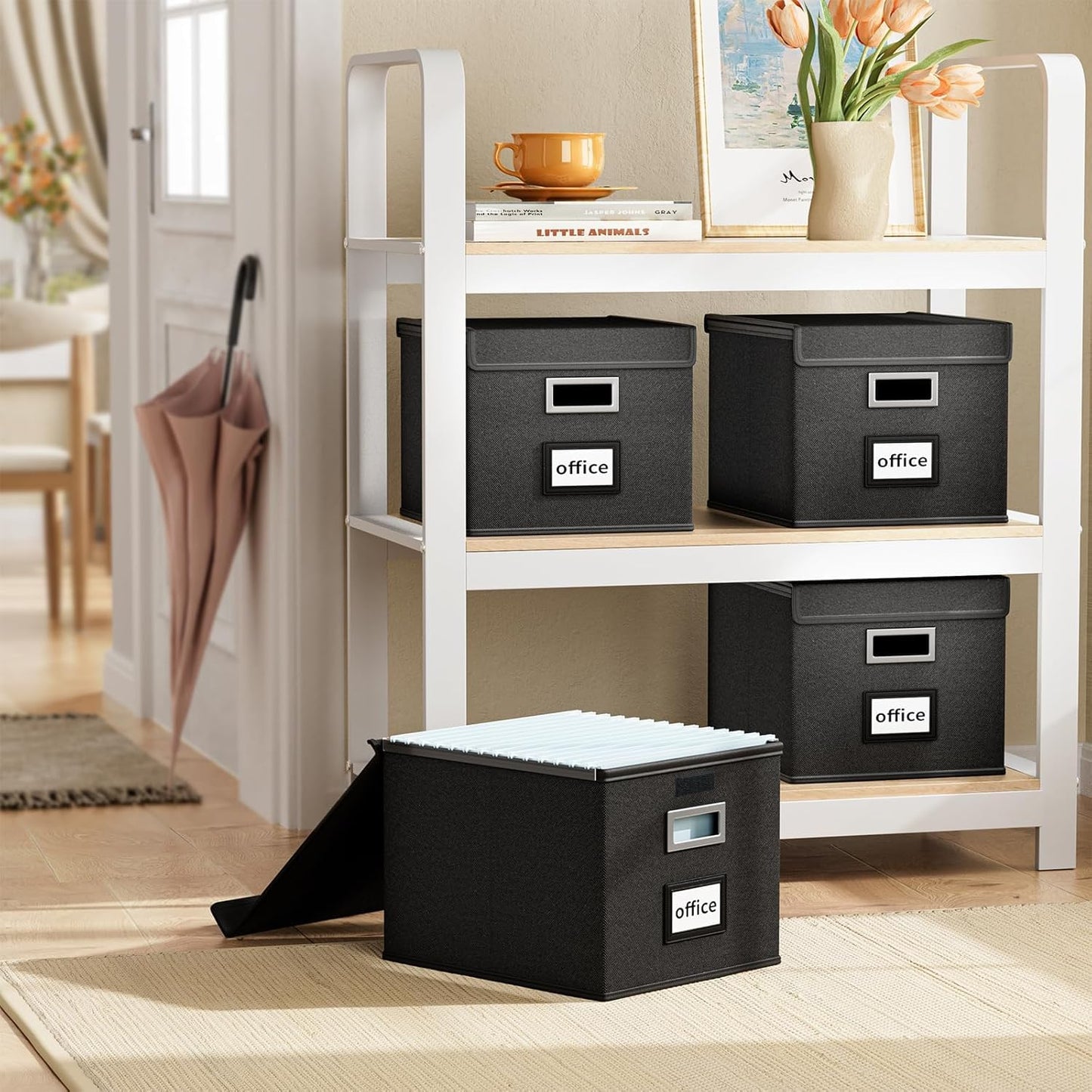 Huolewa File Organizer Box with Lid, Collapsible File Folder Organizer for Office Document Storage, Filing Box with Plastic Slide for Letter Size Hanging File Folders(1 Pack, Black)
