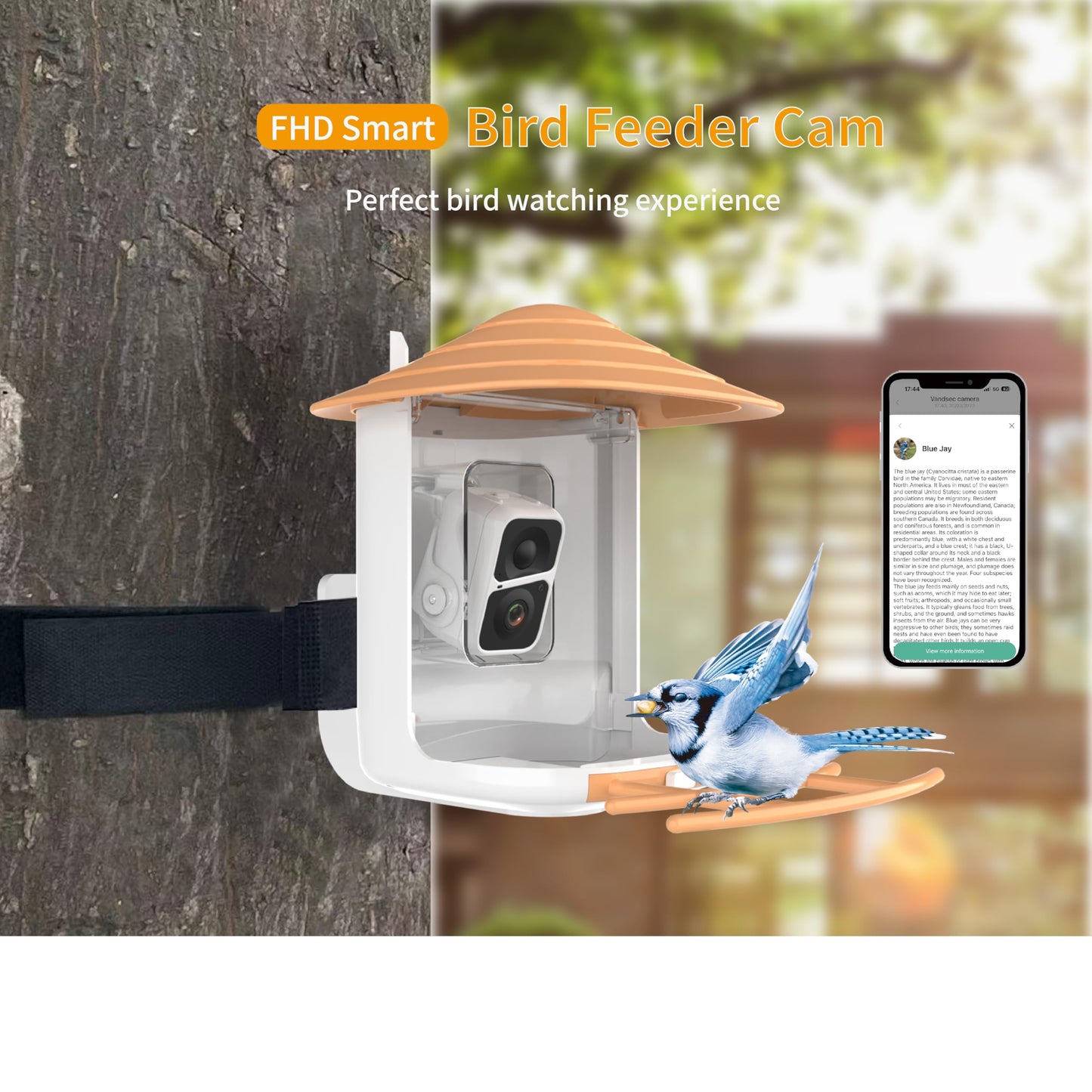 PAXI DAYA Solar Powered AI Window Bird Feeder with 2MP Camera Weatherproof Smart Outdoor Decor Metal Feeder for Birds Pack of 1 Orange