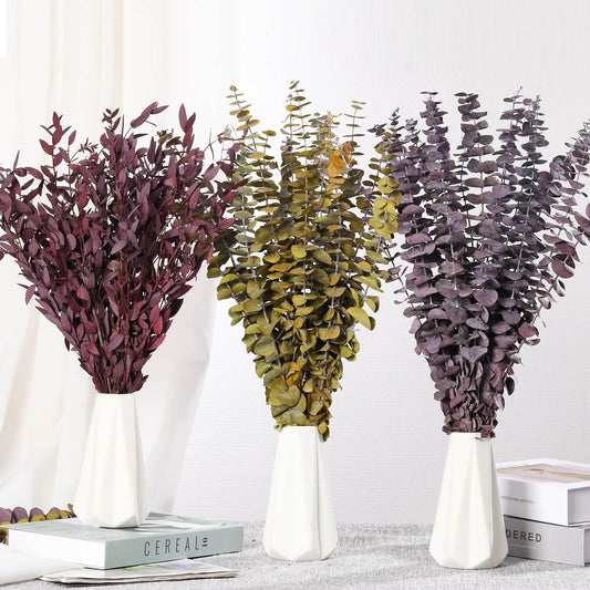 Dried Eucalyptus Leaves Real Preserved Stems, Fresh Eucalyptus Garland Branches for Shower, Dried Plant Live Bundle Purple Leaves for Wedding Wreath Party Home Fragrance Vase Décor