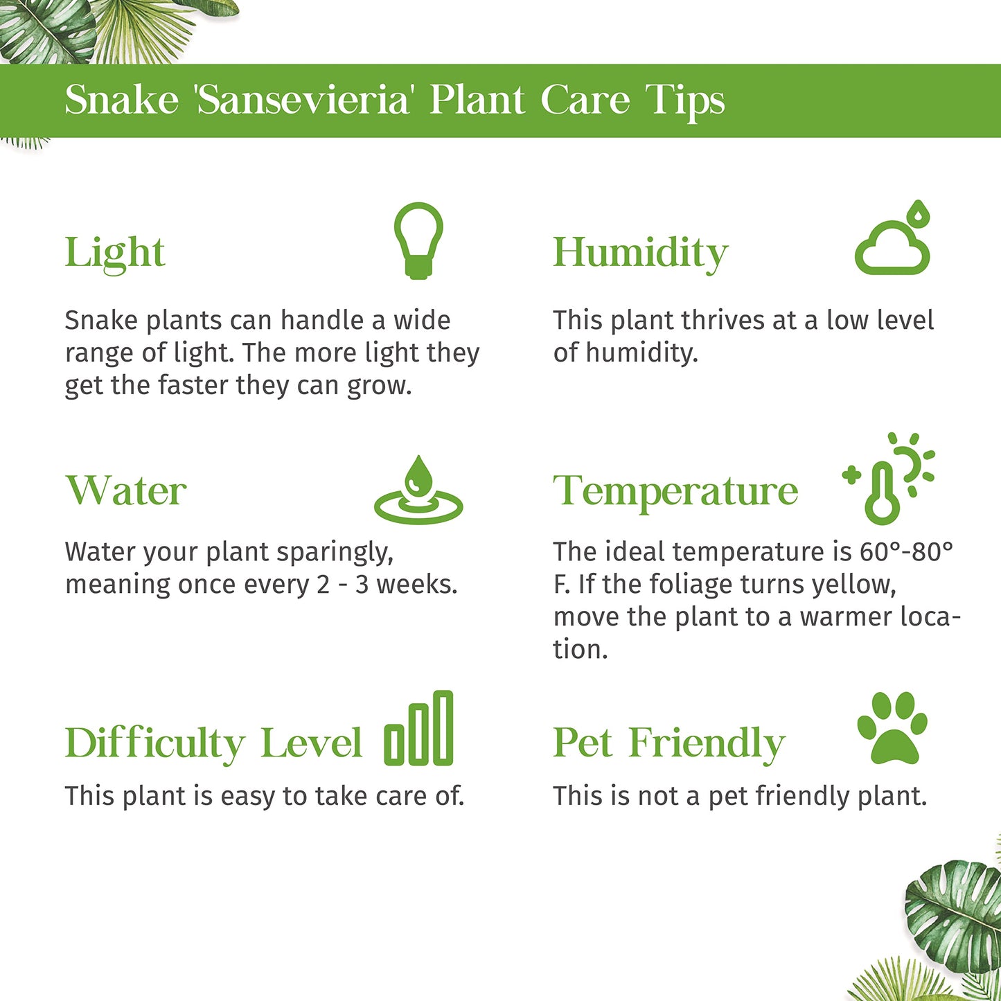 Snake Plant Gold Hahnii Live Plant for Indoor | Different Houseplants in 4'' & 6'' Pot | Real House Plant for Living Room, Office, Desk & Bathroom | Laurentii