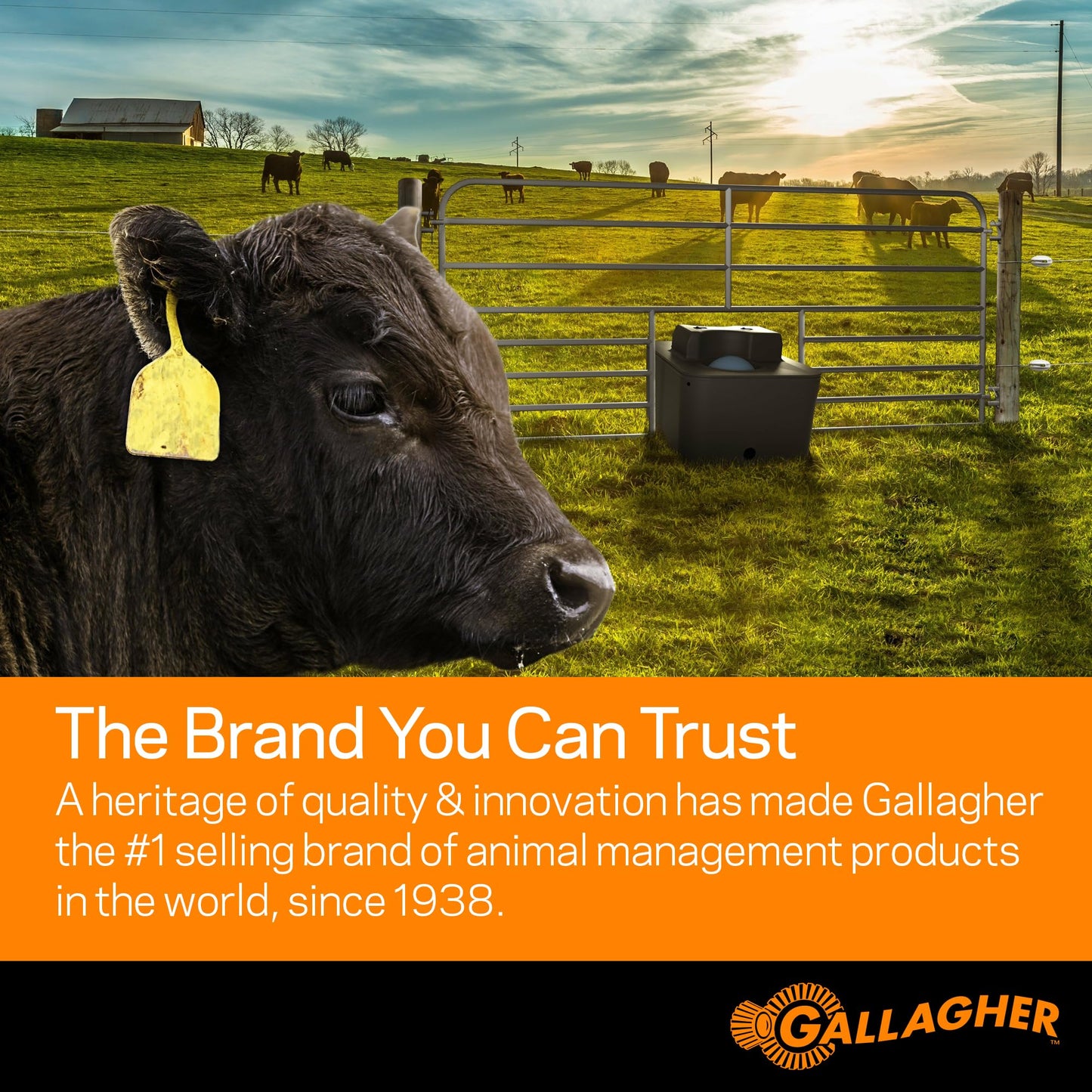 Gallagher S20 Solar Electric Fence Charger | Powers Up to 2 Miles of Typical Fence | Lithium Battery Technology | 0.2 Joule Solar Energizer for Poultry, Livestock, Gardens, and Pets