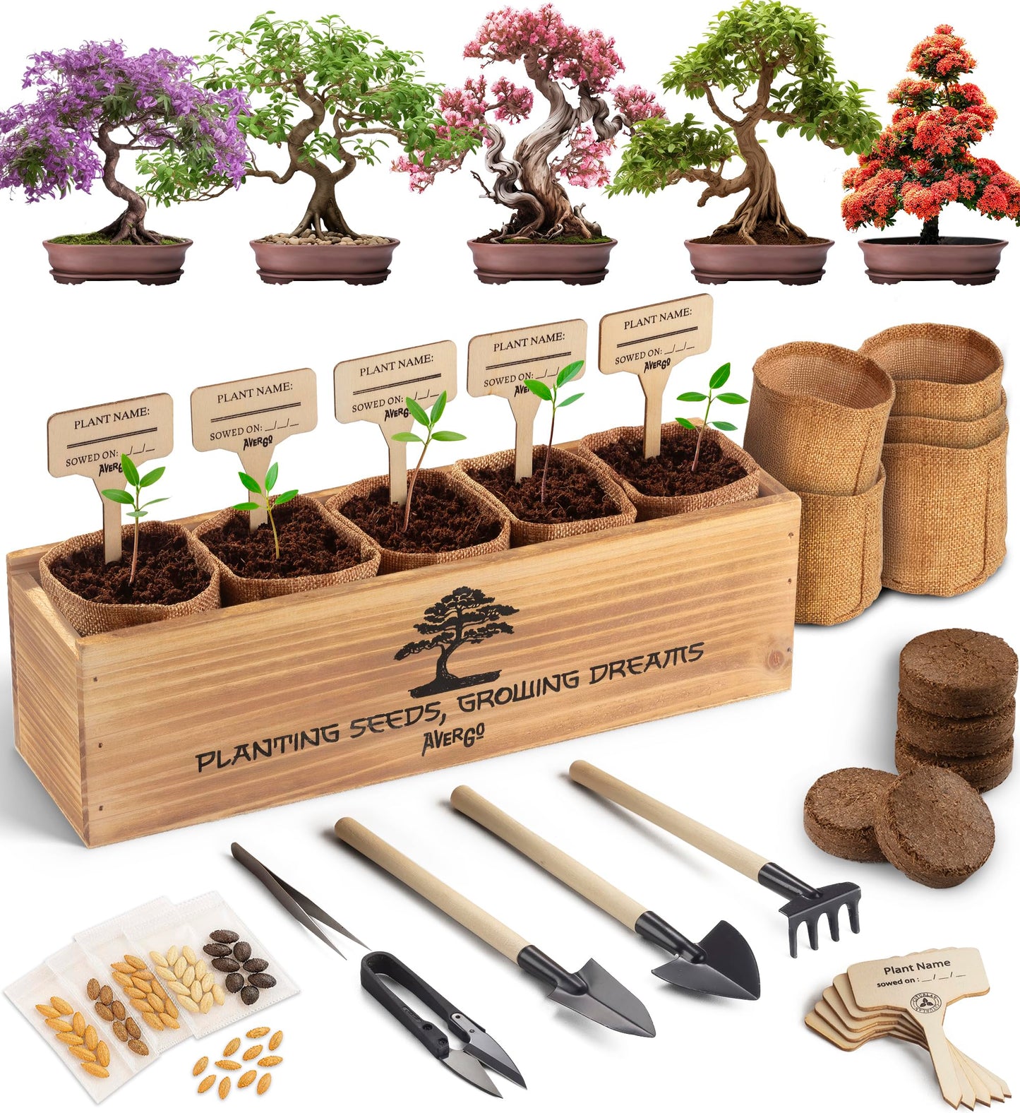 AVERGO Bonsai Tree Kit for Beginners – 5X Unique Japanese Bonzai Trees | Complete Indoor Starter Kit for Growing Bonsai Plants with Tools & Planters – Gardening Gifts for Women & Men