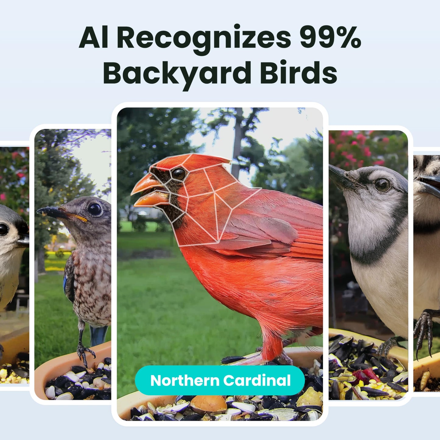 Birdfy Bird Feeder with Camera for Rookie - Solar Powered Outdoor Bird Feeder with Dual Night Vision, AI Recognition, Slow Motion & IP66 Waterproof, Ideal for BirdLovers (Lifetime Free AI)