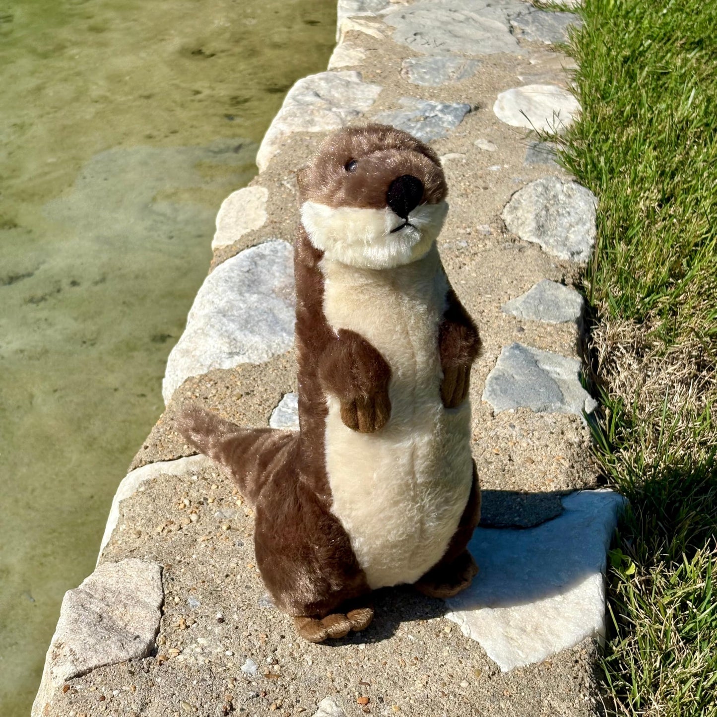 The Petting Zoo River Otter Stuffed Animal Standing, Gifts for Kids, Wild Onez Zoo Animals, River Otter Plush Toy Standing 14 inches