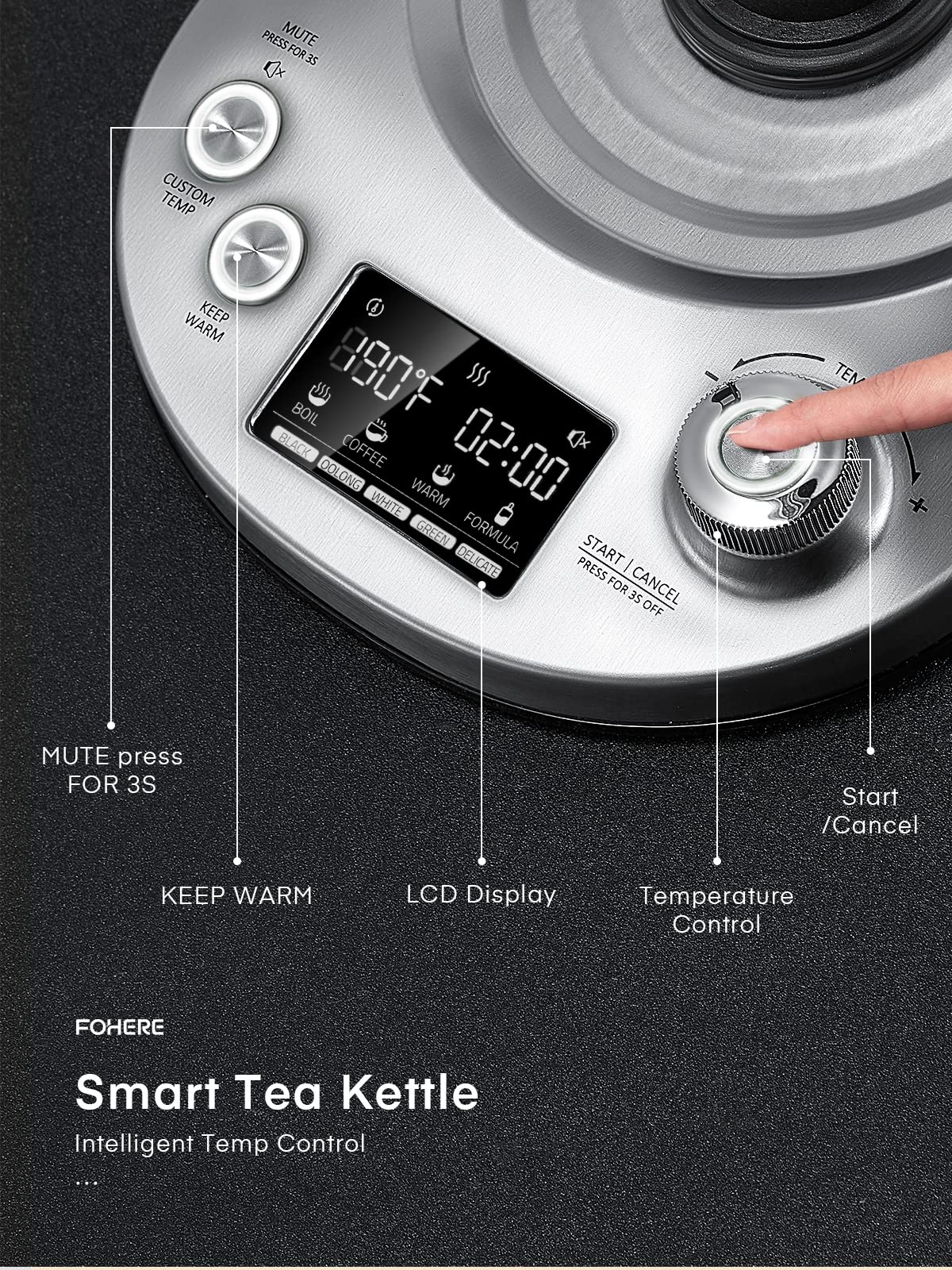 Electric Tea Kettle, 9 Temperature Control Presets Glass Kettle, 1200W Tea Pot with Removable Infuser, 2 Hours Keep Warm, 1.7 Liter Electric Kettles, Borosilicate Glass & Stainless Steel