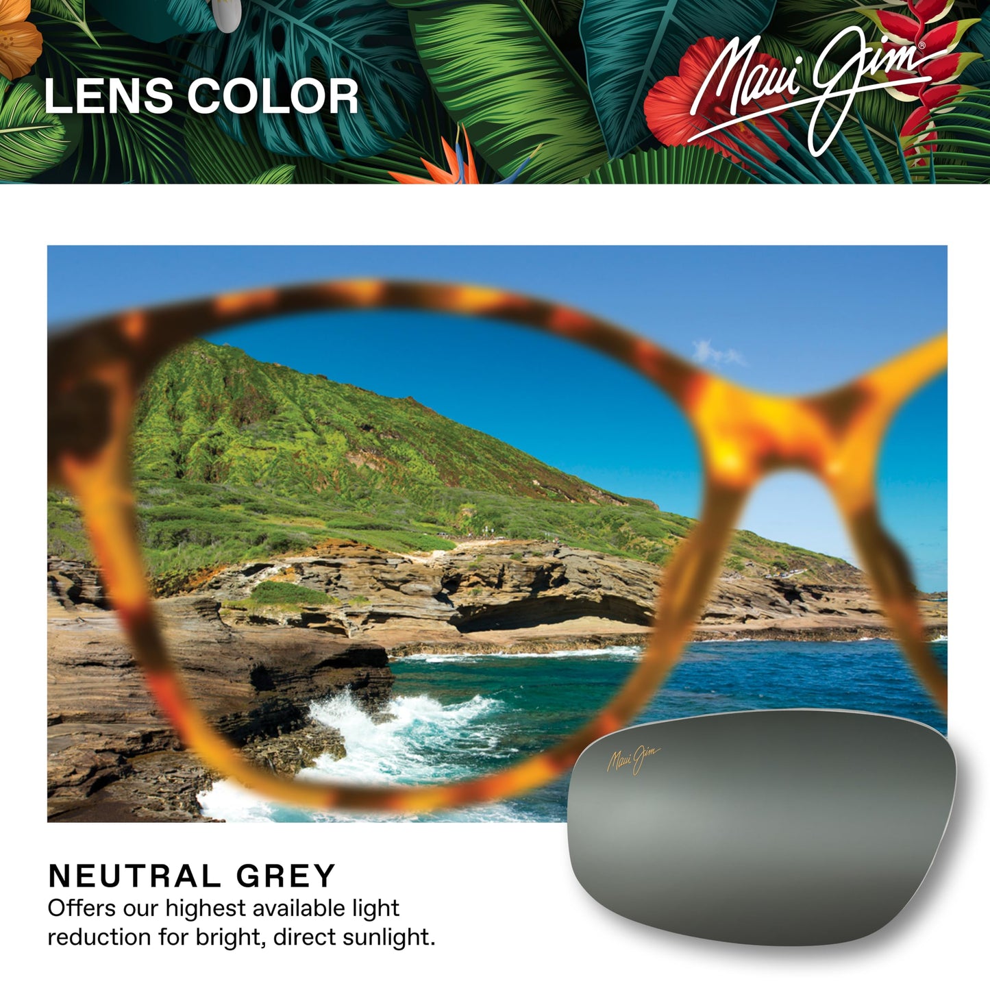 Maui Jim Women's Lotus Polarized Cat Eye Sunglasses, Gloss Black Fade/Neutral Grey, Medium