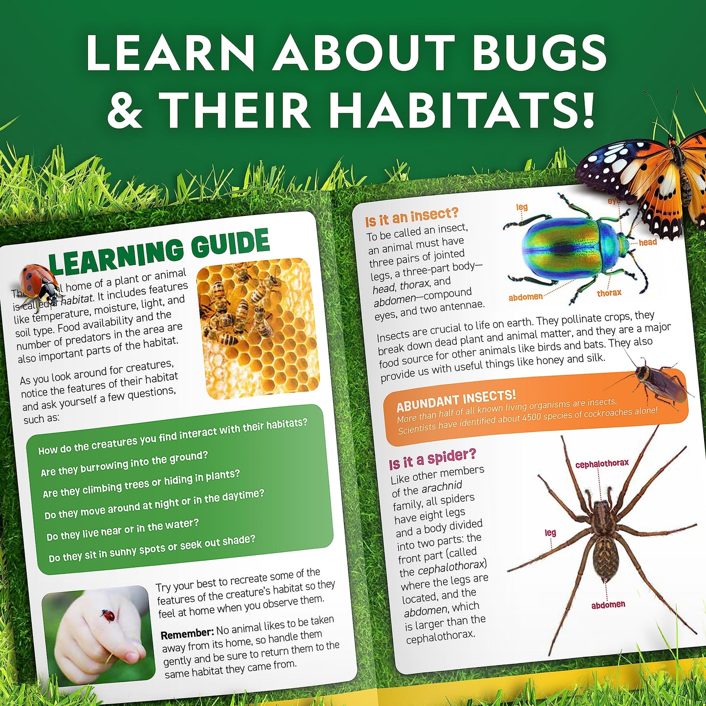 National Geographic Bug Catcher Kit for Kids - Kids Bug Habitat with Magnified Viewer, Bug Box, & Tweezers, Insect Habitat, Outdoor Toys, Bug Catching Kit, Bug Box, Easter Basket Gifts for Kids
