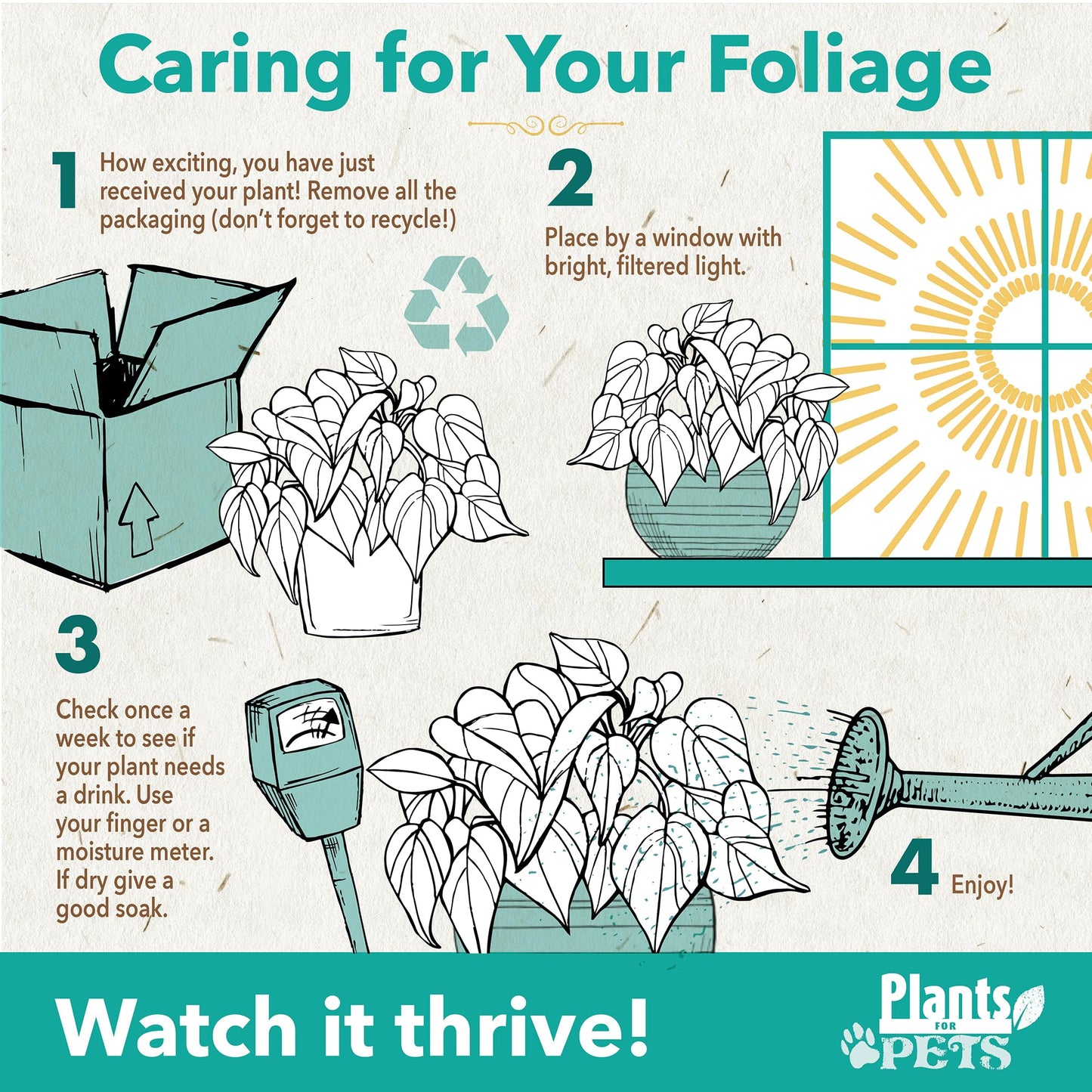 Variegated Philodendron Birkin House Plant Gift & Decor, Powerful Air Purifying Plant, Easy to Grow, Upright Philodendrons, Popular Live Indoor Plants, Includes 6" White Décor Pot, Unique Houseplants
