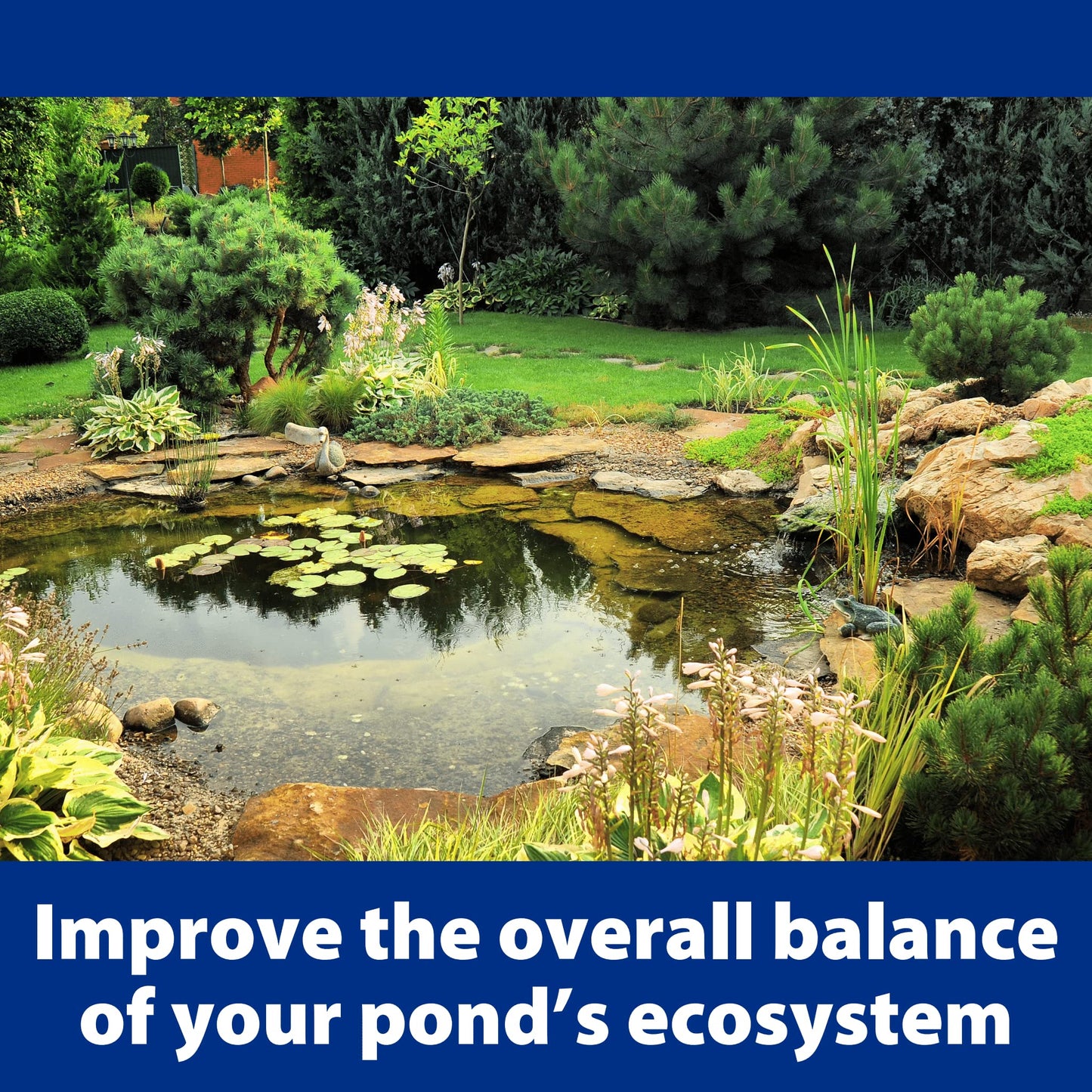 The Pond Guy AllClear G2 Bio Pressure Filter & Ultraviolet Light Clarifier with Backflush System, Pressurized External UVC Biological & Mechanical Filtration, Koi Fish Water Garden, All Clear 3500
