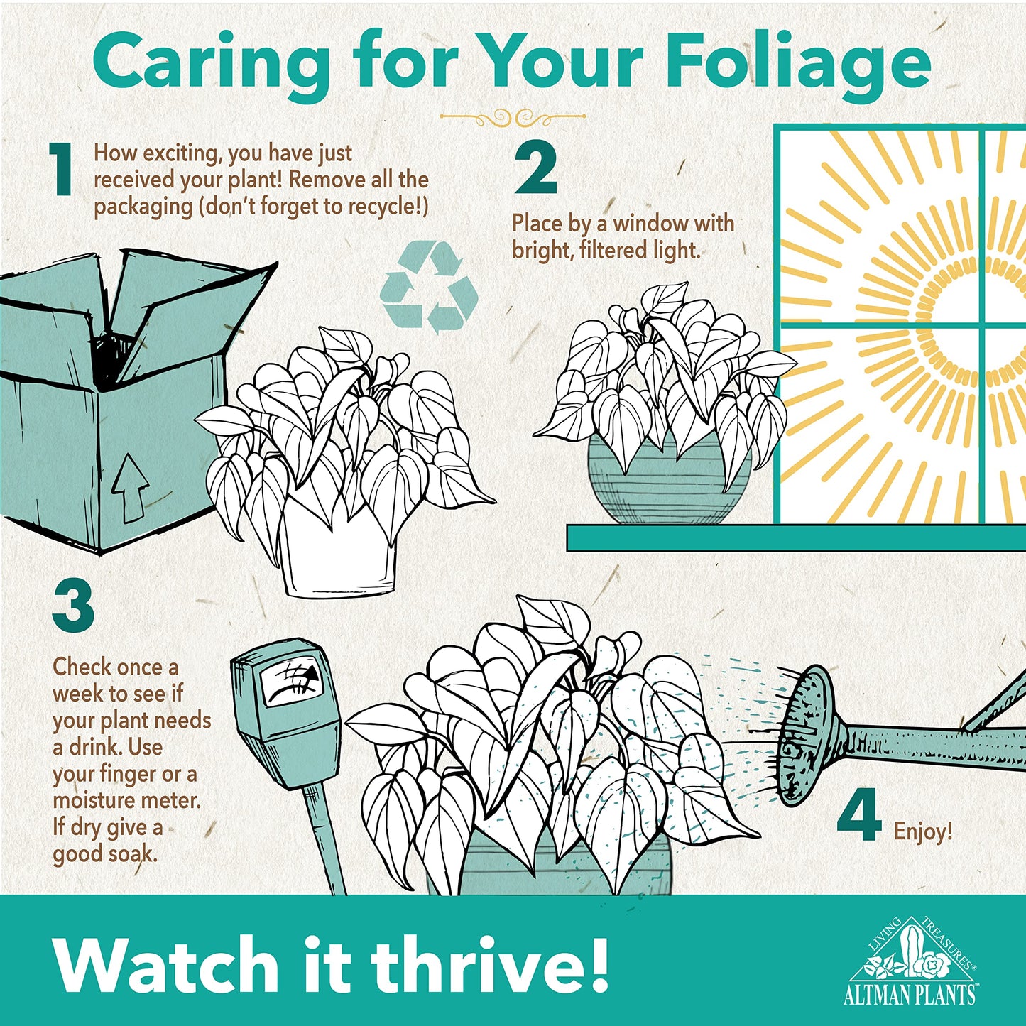 Altman Plants Calathea Live Plant Decor, Makoyana Prayer Plant in 4 Inch White Plastic Plant Pot, Easy Plant Gift, Pet Friendly Plants, Unique Desk Plant, House Plant in Indoor Plant Potting Soil Mix