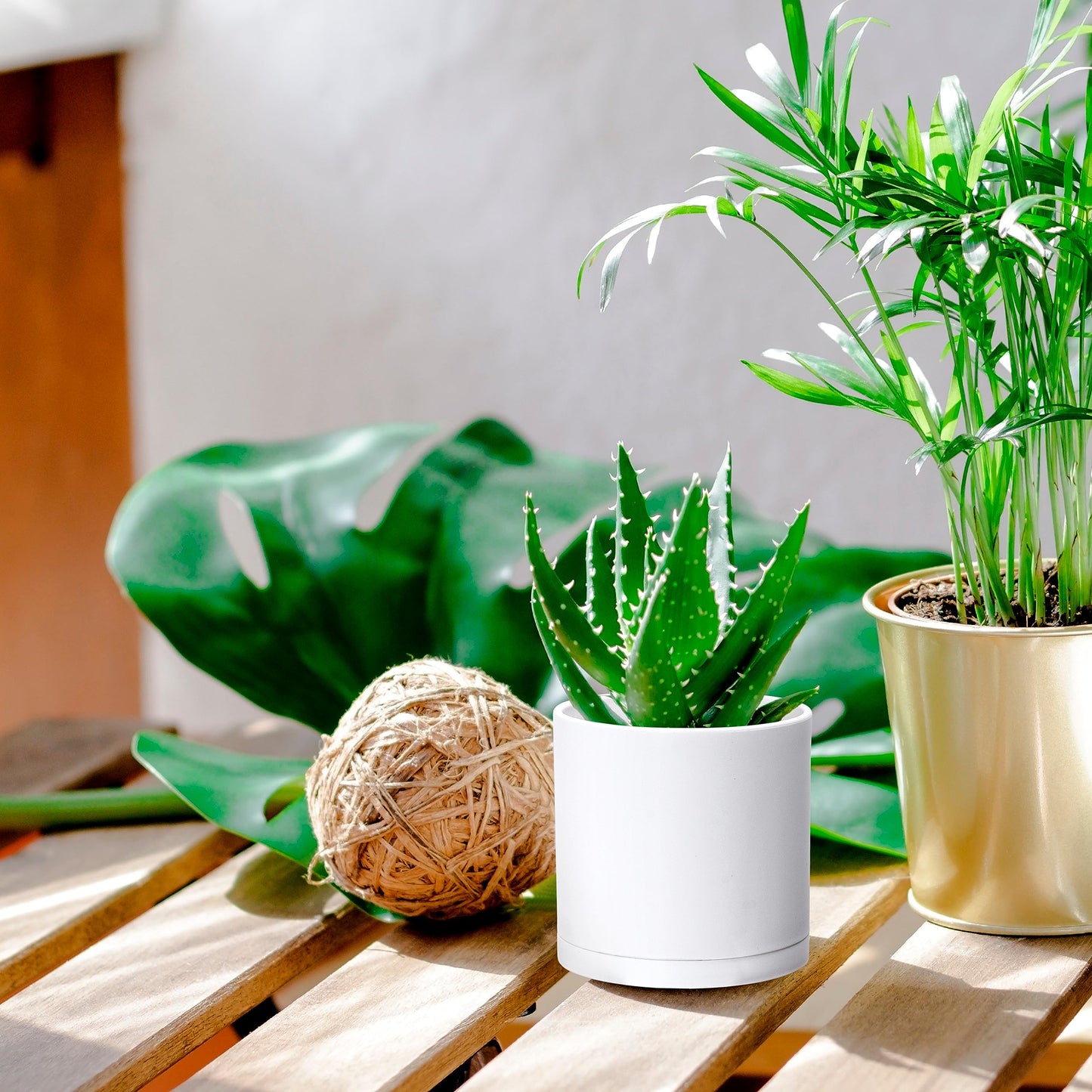 D'vine Dev 2 Pack 4 Inch Modern Plastic Plant Pots, Small Garden Planters for Plant with Drainage Holes and Saucers, White Color, 74-Z-E-1