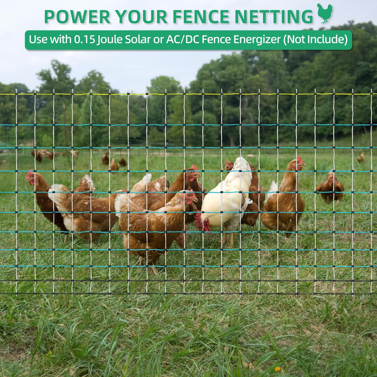 OULUU Poultry Netting Electric Fence - 41.5" H x 164' L, Portable Livestock Nets Mesh for Chickens, Ducks, Geese, Turkey, Electric Fencing for Backyards, Homesteaders, Farms, Ranches, Gardens
