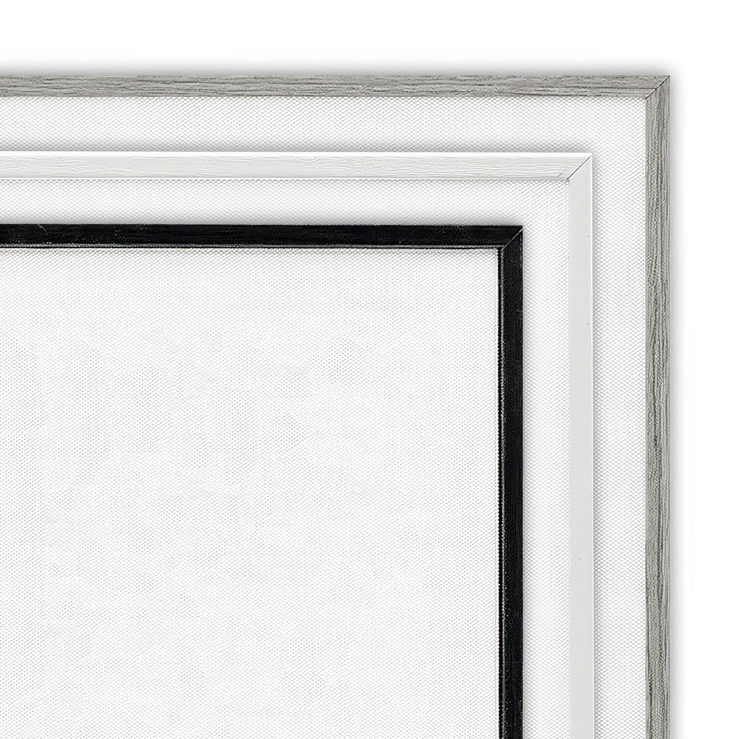 Stupell Industries 'Scientific Botanical Plant', Framed Giclee Art, Black, 11 x 14 Inches, Easy to Hang and Sturdy, Made in USA, by Unknown Artist