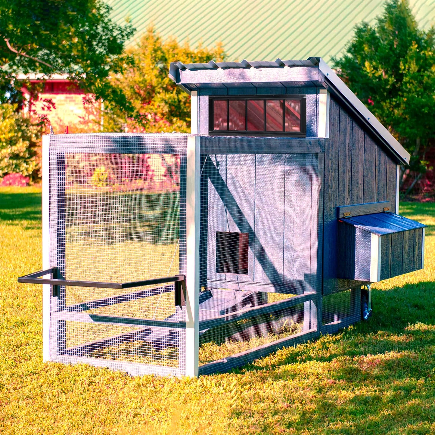 Melkus Shed Window 12"x30" 2 Pack Transom Window Fixed Design with Tempered Glass, Perfect for Shed, Chicken Coop, Barn, Greenhouse, Garage, Playhouse, Storage Room, Black