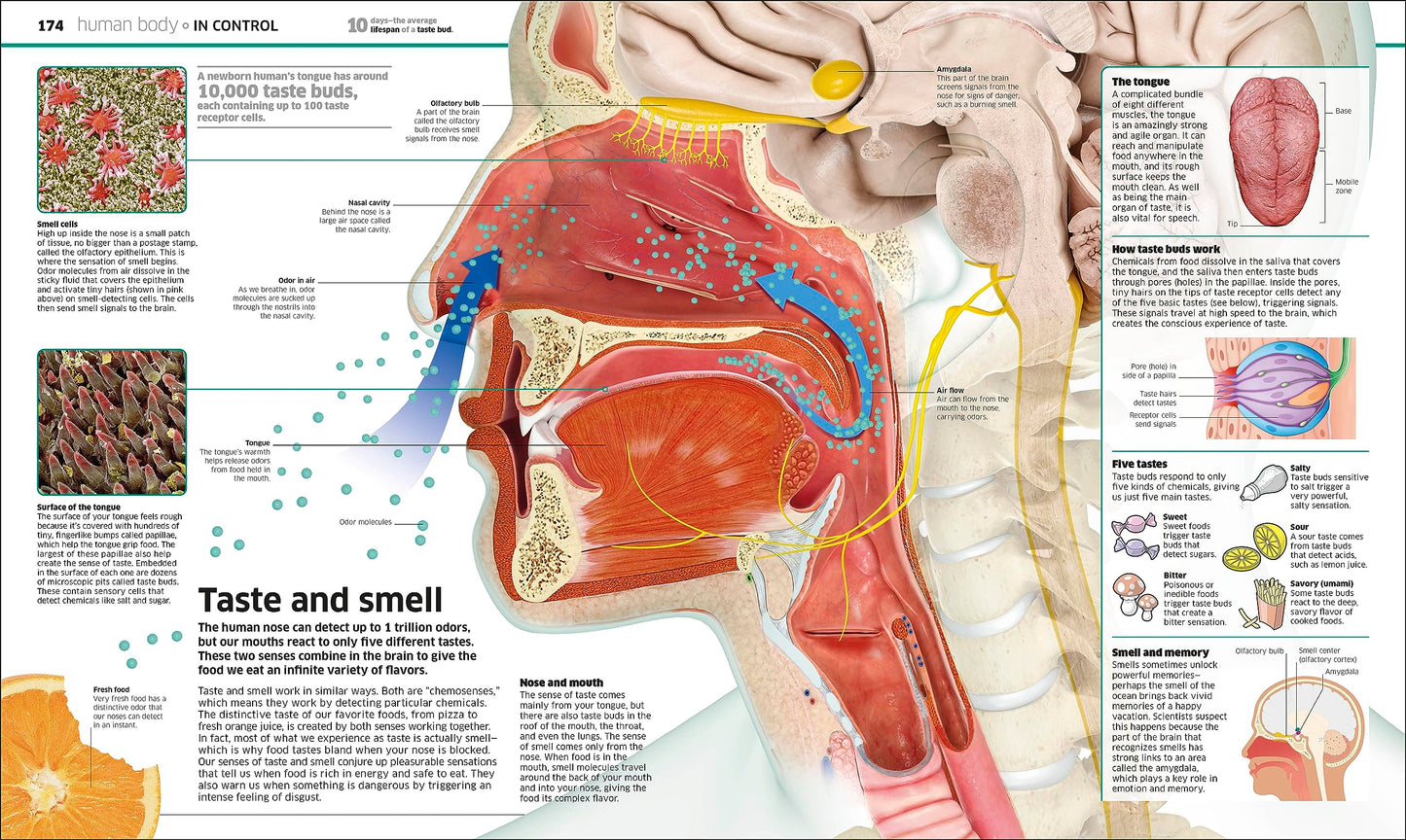 Knowledge Encyclopedia: The World as You've Never Seen it Before