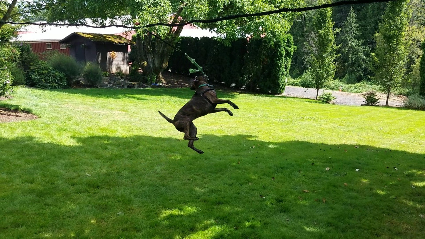 Tumbo Solo Slinger Outdoor Tough Hanging 50 ft Zipline Dog Toy (Uses Bungee Force to Sling The Rope Toy Back and Forth to The Center) Adjustable Length