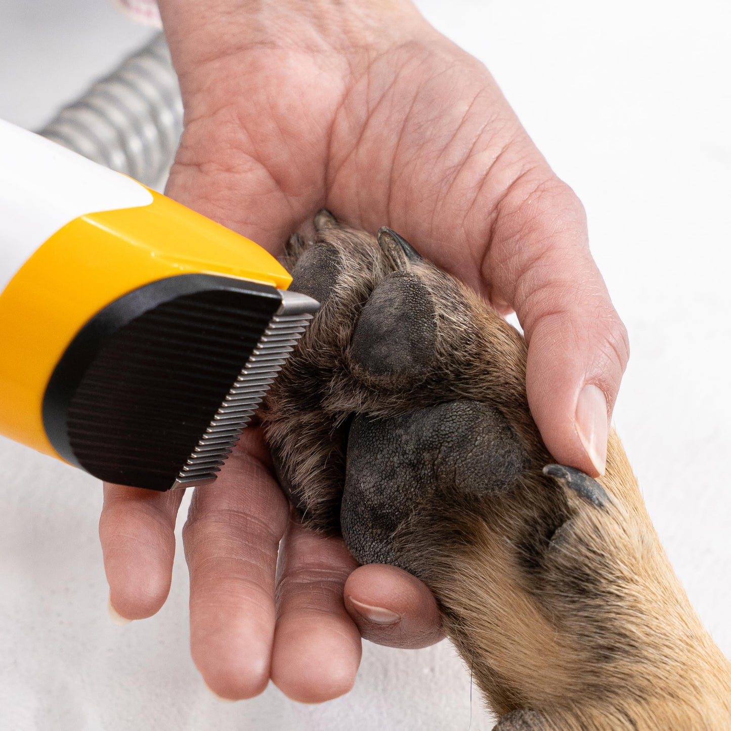 Helios Pet Deluxe Grooming Vacuum Cleaner - All-in-One Trimmer, De-Shedding & Cleaning System for Dogs & Cats