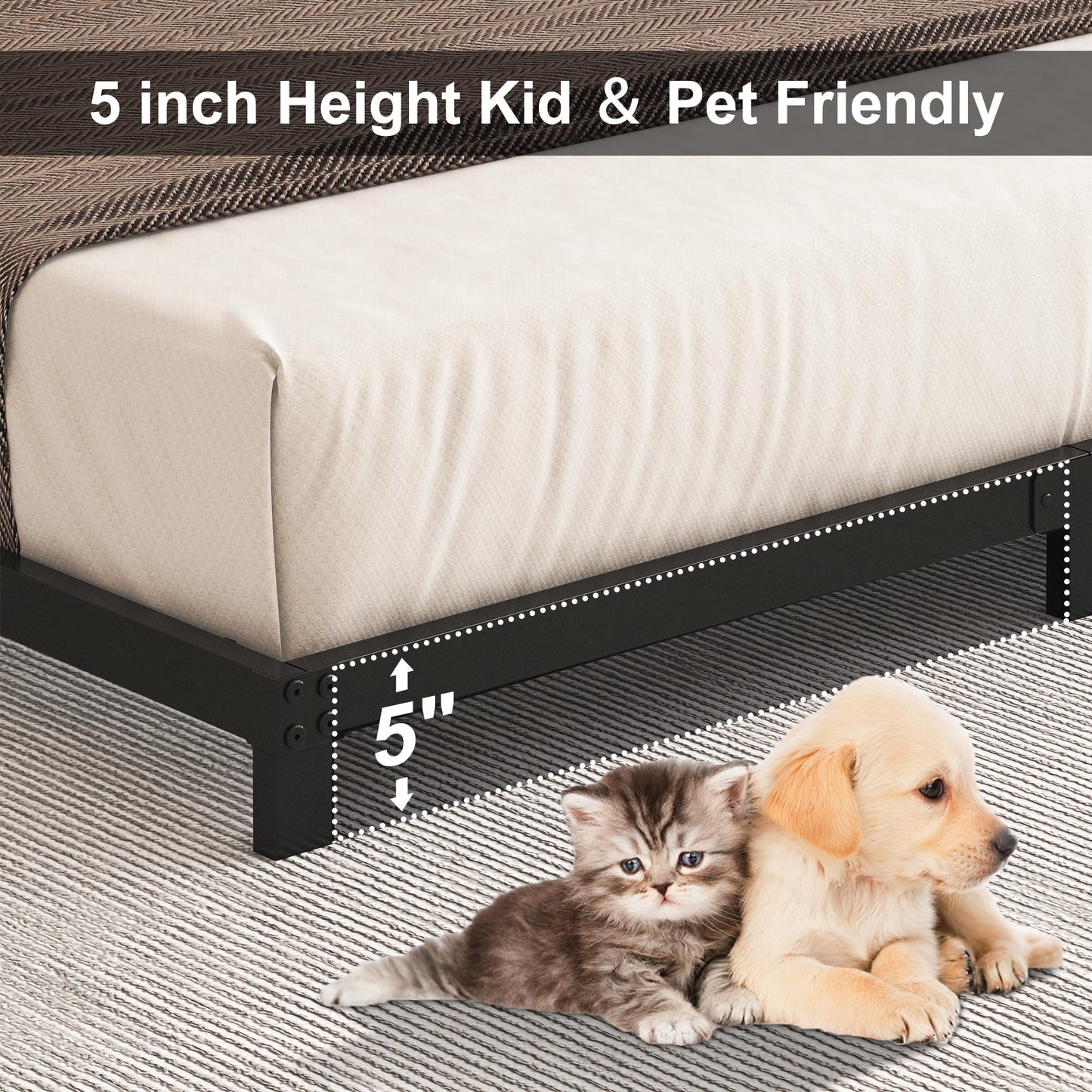 Cieemine 5 Inch Low Queen Bed Frame, Heavy Duty Bed Frame Queen Size Low Profile, No Box Spring Needed, Easy Assembly, Noise Free, Black