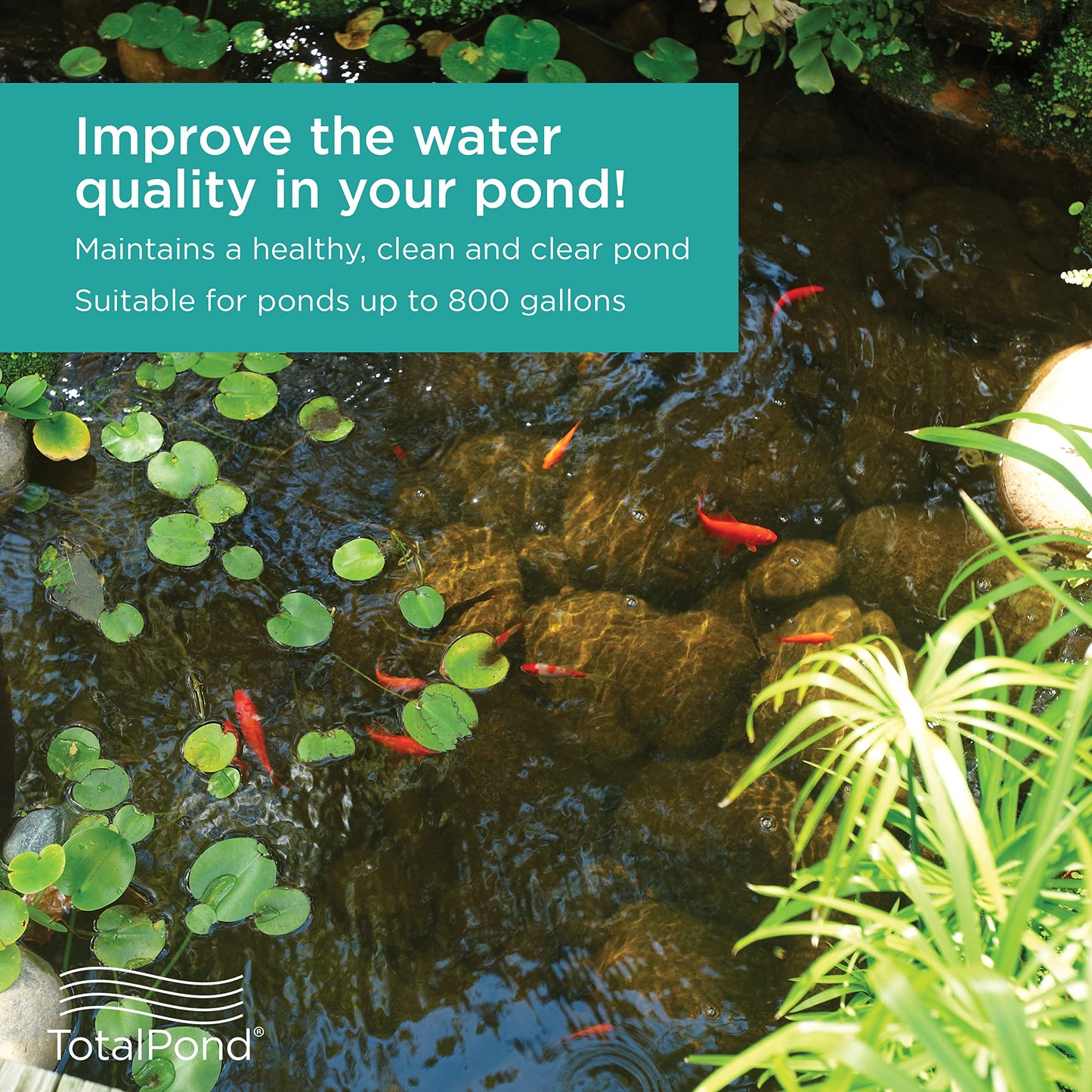Pond Boss Waterfall Pump (2300 GPH) and TotalPond Complete Pond Filter with UV Clarifier
