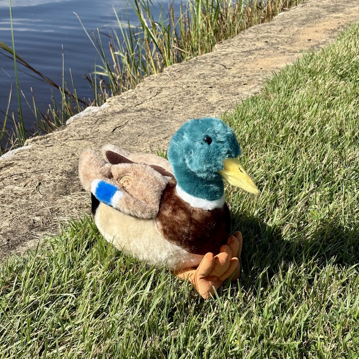 The Petting Zoo Duck Stuffed Animal Plushie, Gifts for Kids, Wild Onez Wildlife Animals, Duck Plush Toy, 12 inches